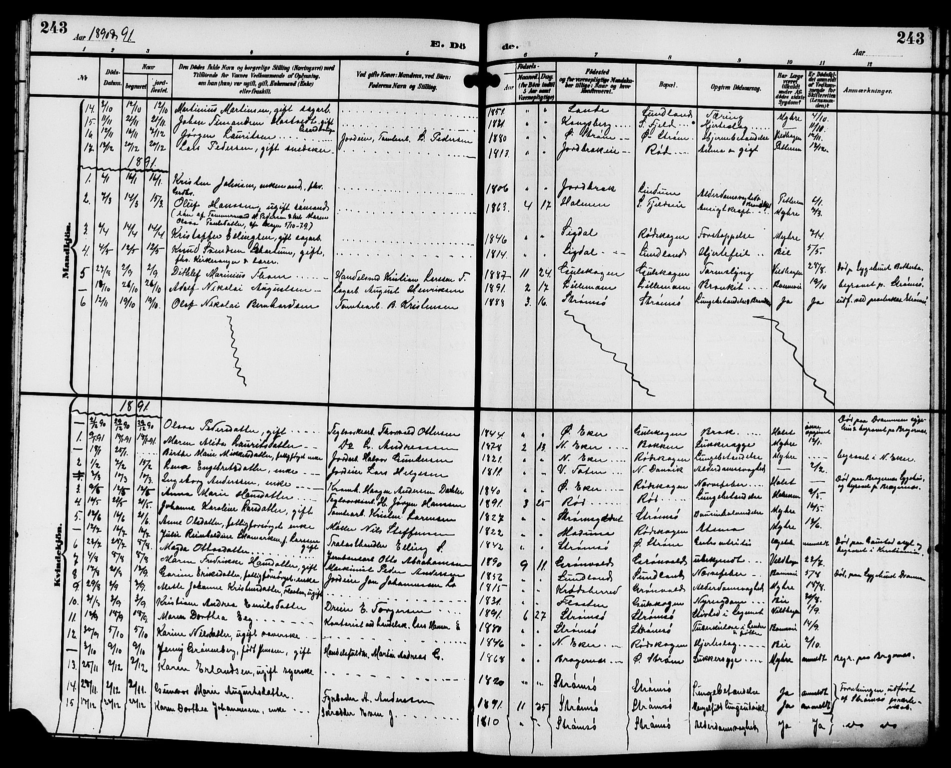 Strømsgodset kirkebøker, AV/SAKO-A-324/G/Ga/L0002: Klokkerbok nr. 2, 1885-1910, s. 243