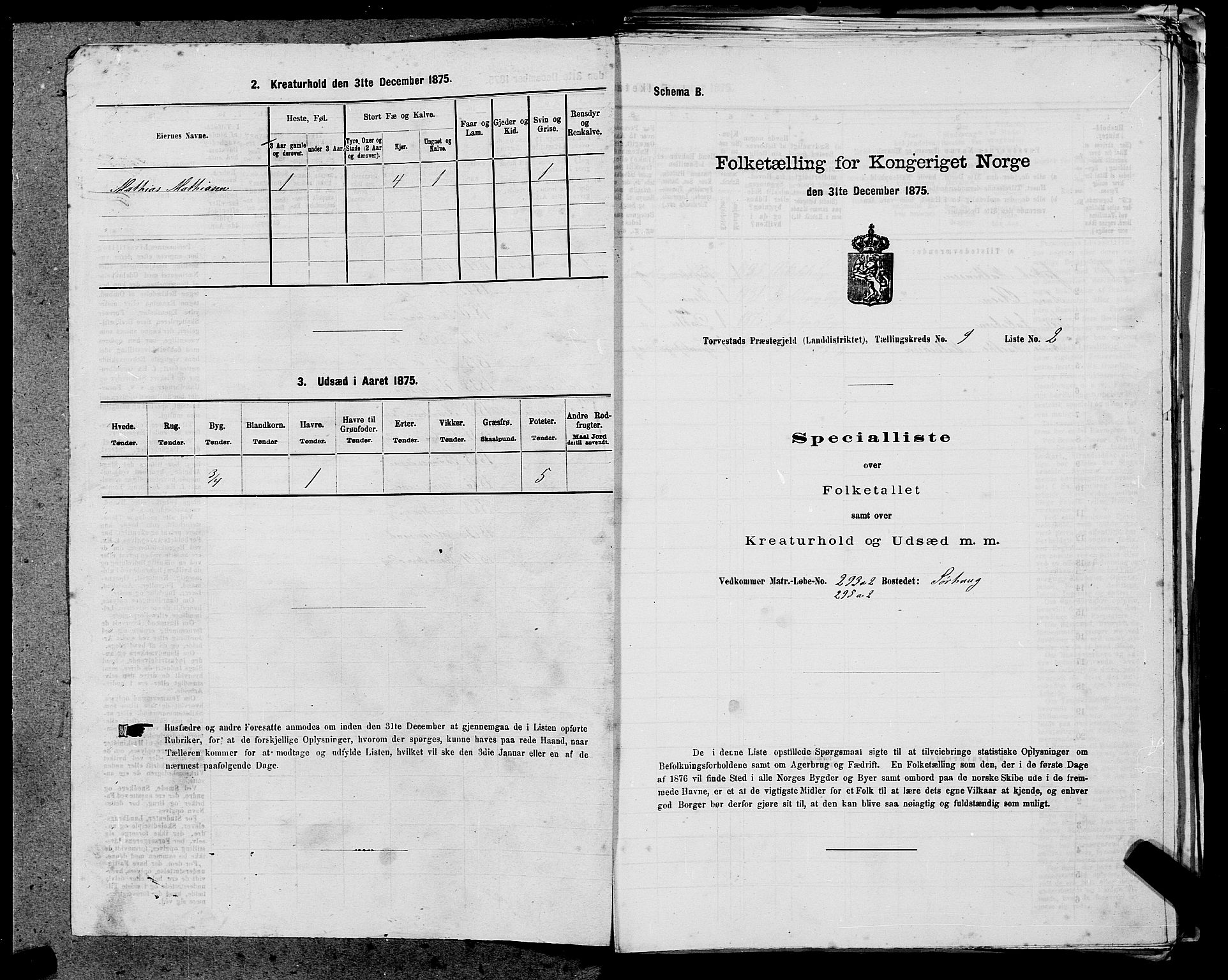 SAST, Folketelling 1875 for 1152L Torvastad prestegjeld, Torvastad sokn, Skåre sokn og Utsira sokn, 1875, s. 1117