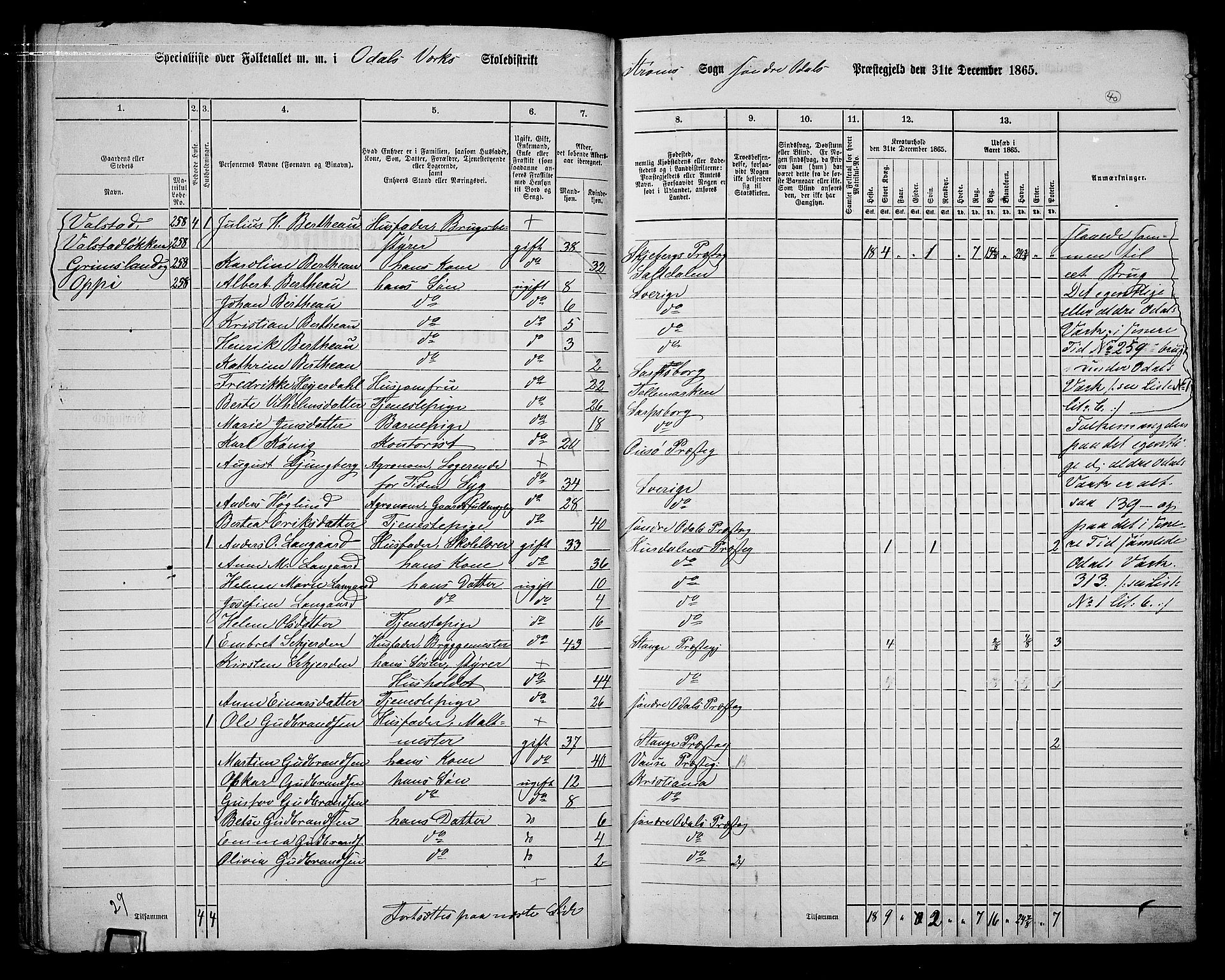 RA, Folketelling 1865 for 0419P Sør-Odal prestegjeld, 1865, s. 36