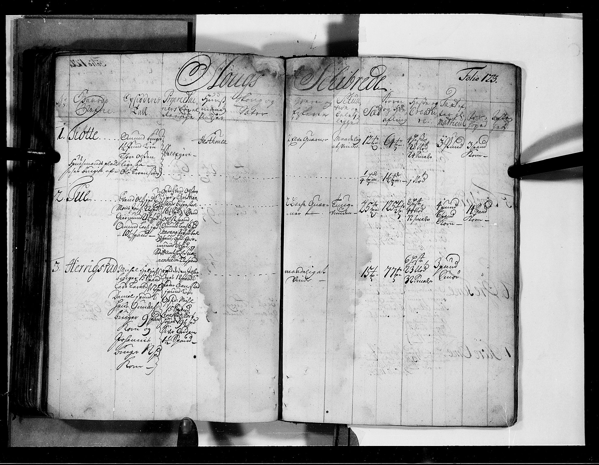 Rentekammeret inntil 1814, Realistisk ordnet avdeling, AV/RA-EA-4070/N/Nb/Nbf/L0131: Jæren og Dalane eksaminasjonsprotokoll, 1723, s. 125