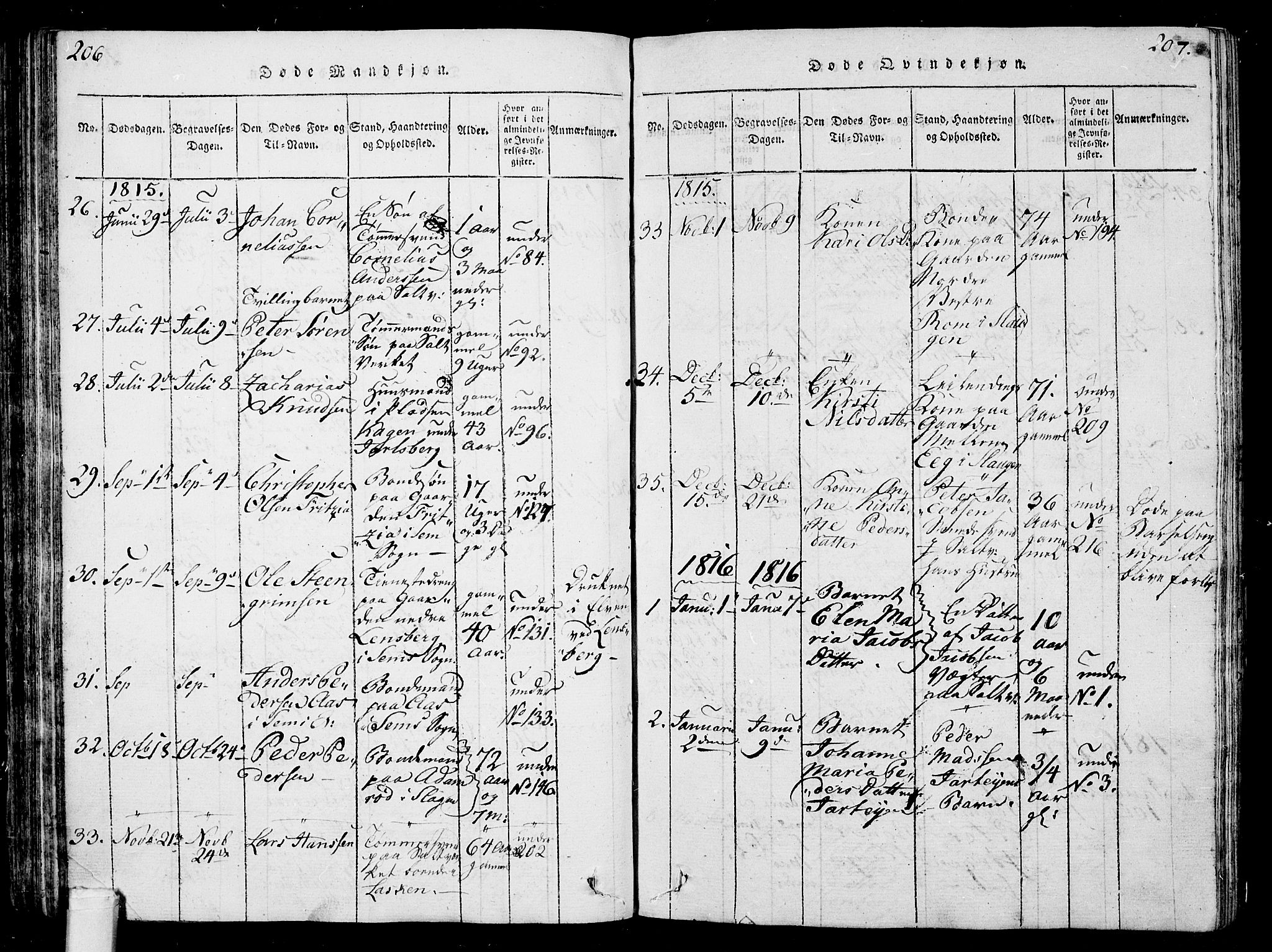 Sem kirkebøker, AV/SAKO-A-5/G/Ga/L0001: Klokkerbok nr. I 1, 1814-1825, s. 206-207