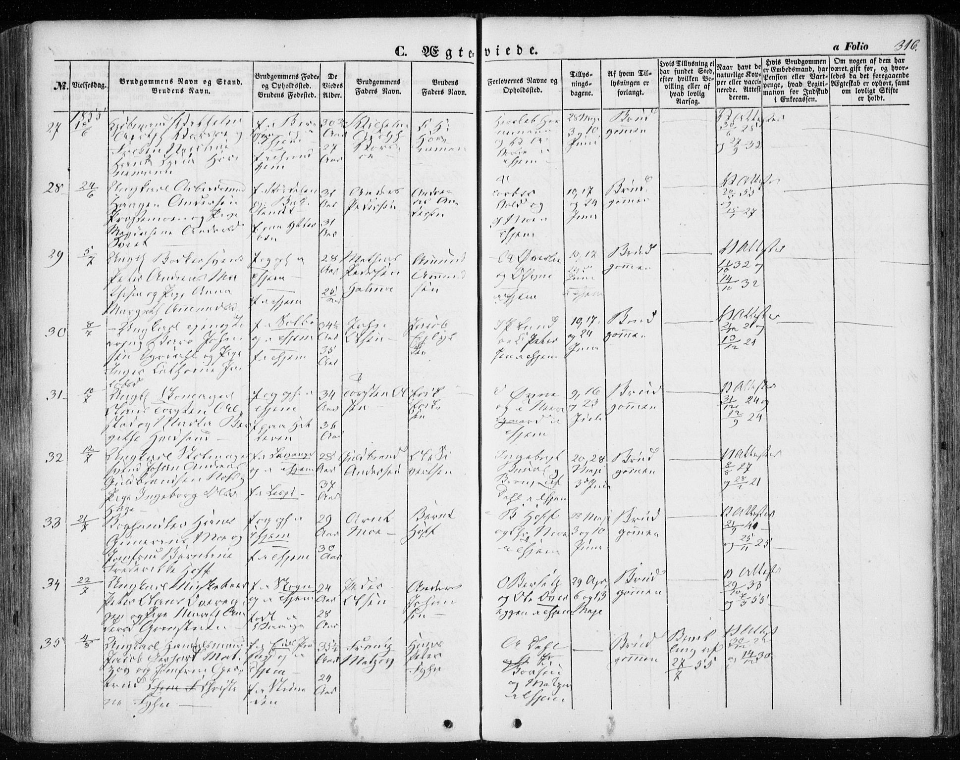 Ministerialprotokoller, klokkerbøker og fødselsregistre - Sør-Trøndelag, AV/SAT-A-1456/601/L0051: Ministerialbok nr. 601A19, 1848-1857, s. 316
