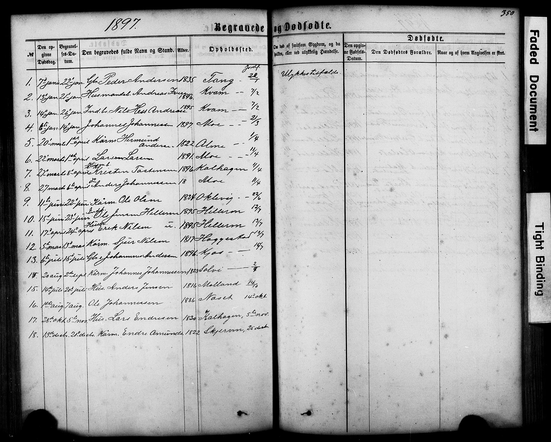 Hafslo sokneprestembete, AV/SAB-A-80301/H/Hab/Haba/L0001: Klokkerbok nr. A 1, 1866-1908, s. 350