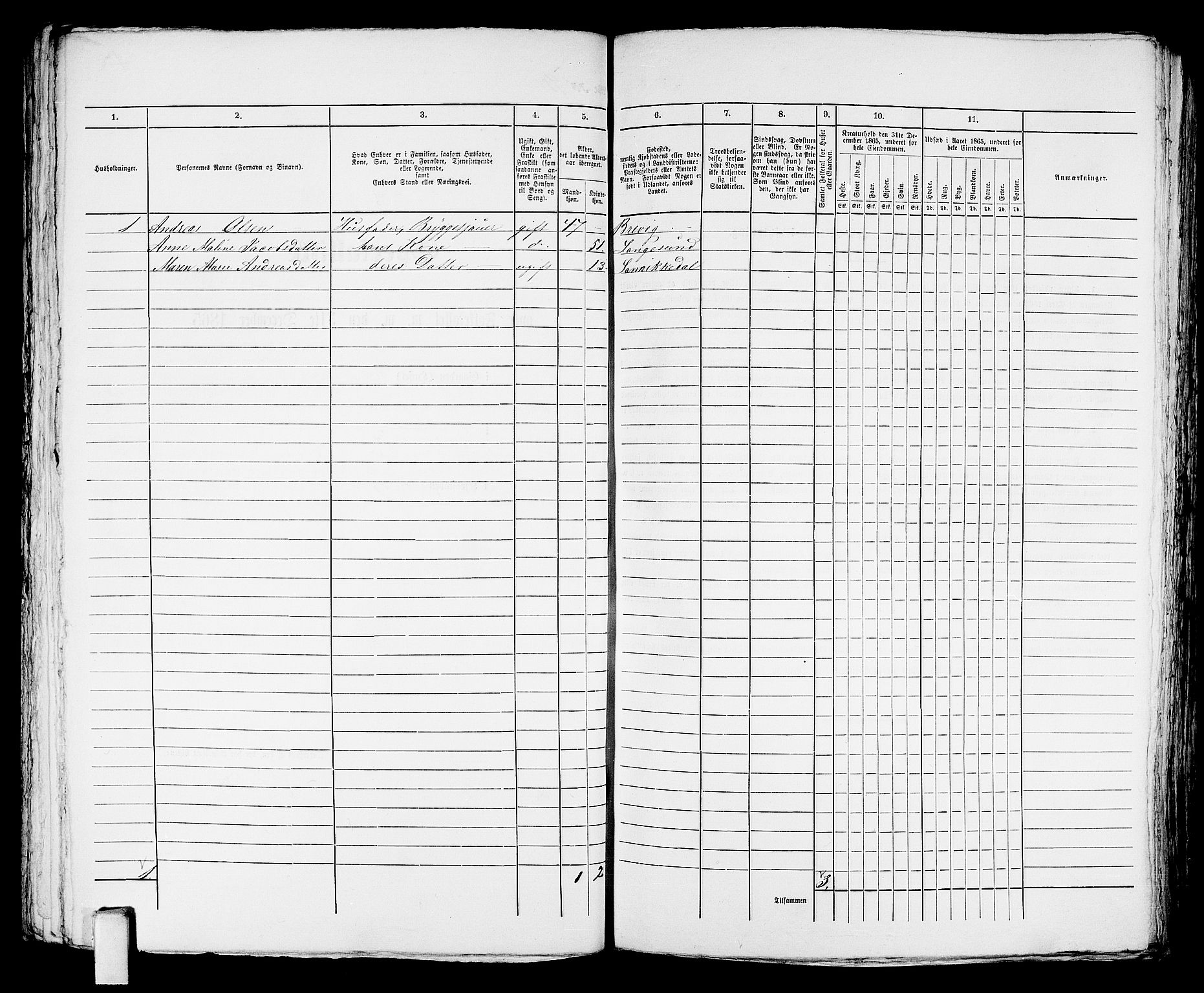 RA, Folketelling 1865 for 0801B Kragerø prestegjeld, Kragerø kjøpstad, 1865, s. 192