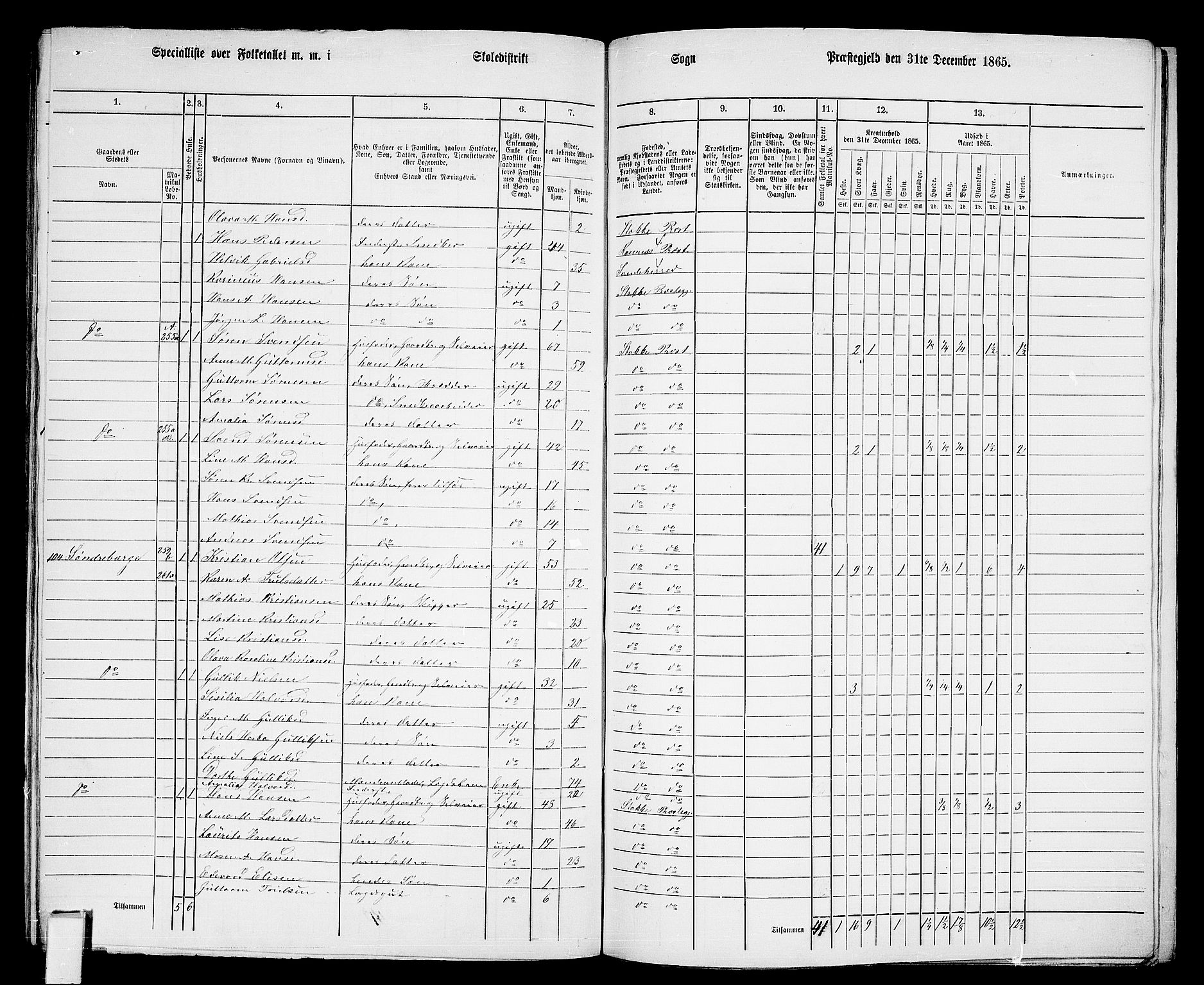 RA, Folketelling 1865 for 0720P Stokke prestegjeld, 1865, s. 136