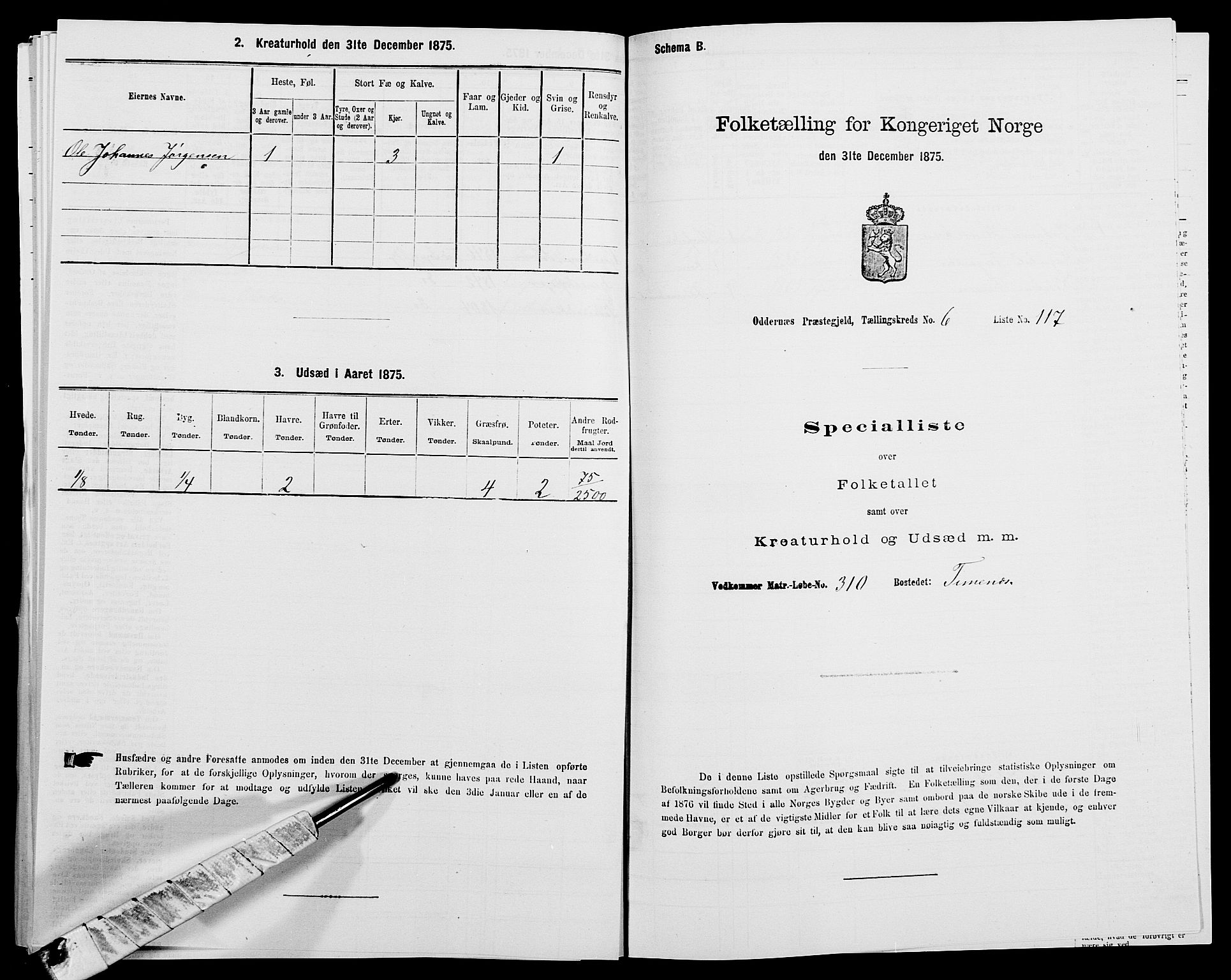 SAK, Folketelling 1875 for 1012P Oddernes prestegjeld, 1875, s. 1225