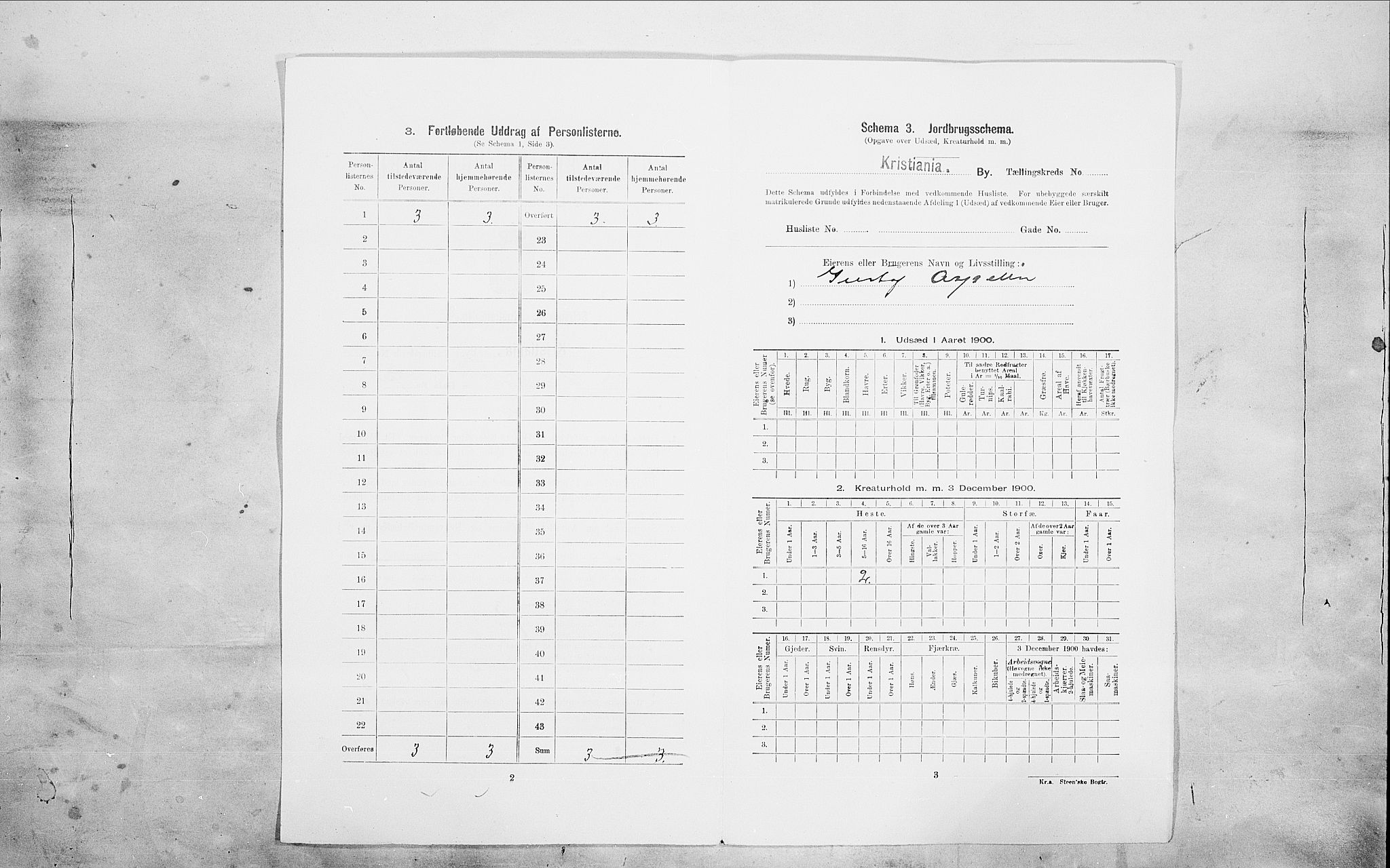 SAO, Folketelling 1900 for 0301 Kristiania kjøpstad, 1900, s. 91035