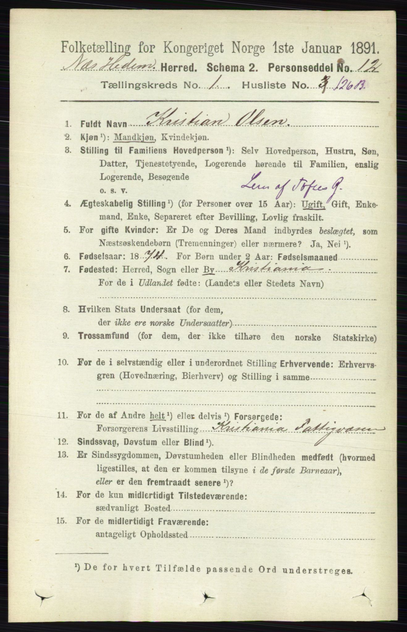 RA, Folketelling 1891 for 0411 Nes herred, 1891, s. 919