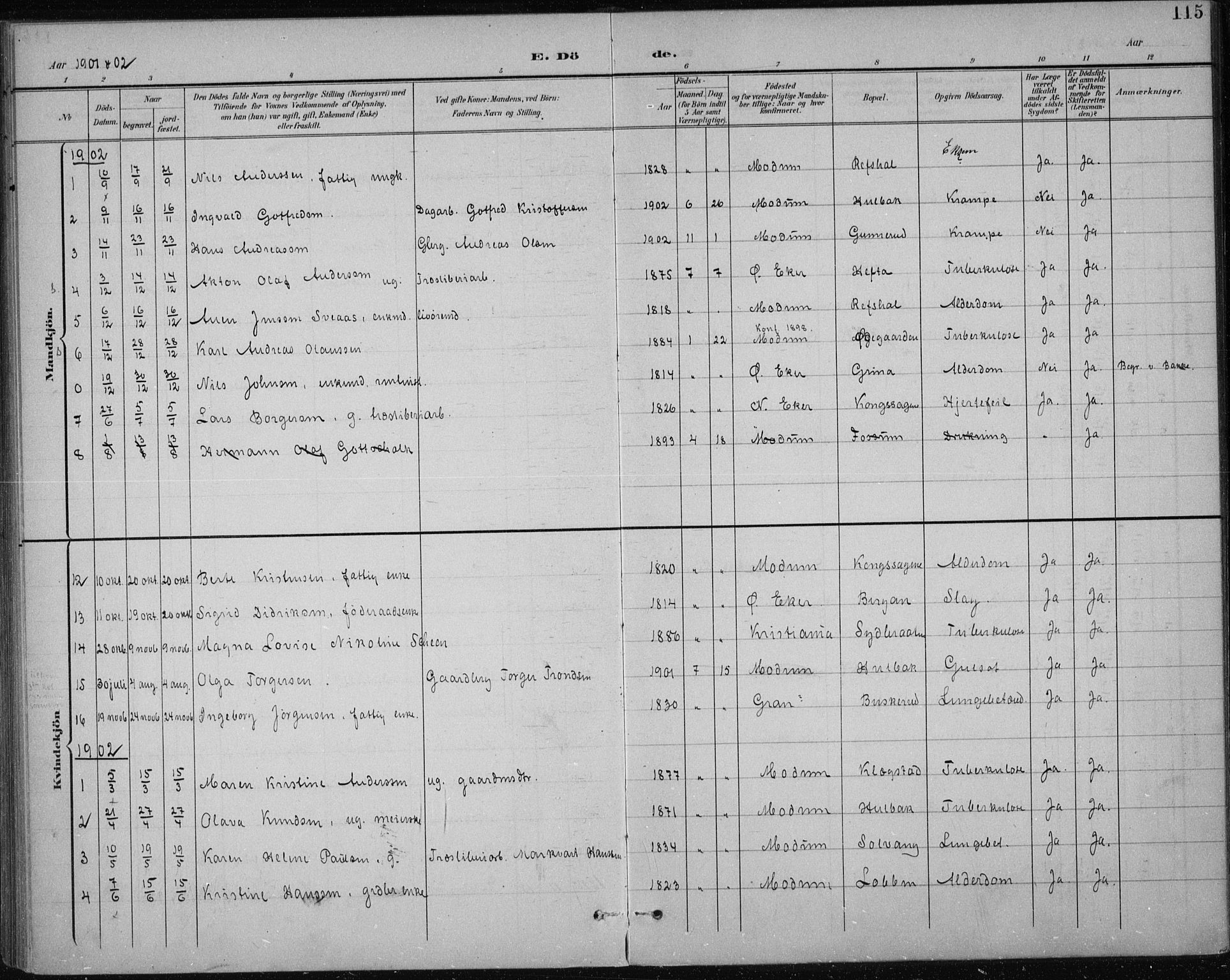 Modum kirkebøker, AV/SAKO-A-234/F/Fa/L0017: Ministerialbok nr. 17, 1900-1915, s. 115