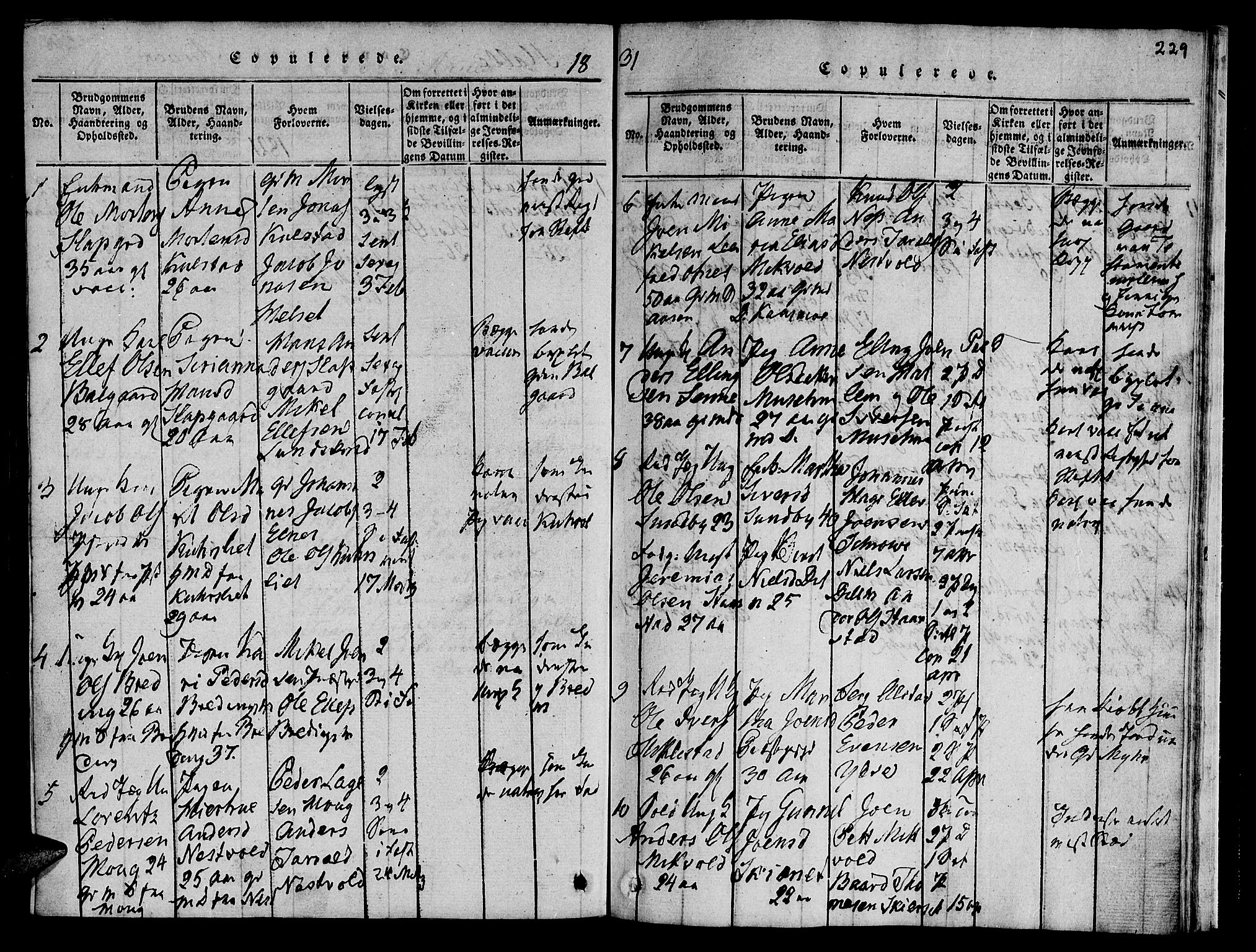 Ministerialprotokoller, klokkerbøker og fødselsregistre - Nord-Trøndelag, SAT/A-1458/723/L0251: Klokkerbok nr. 723C01 /1, 1816-1831, s. 229