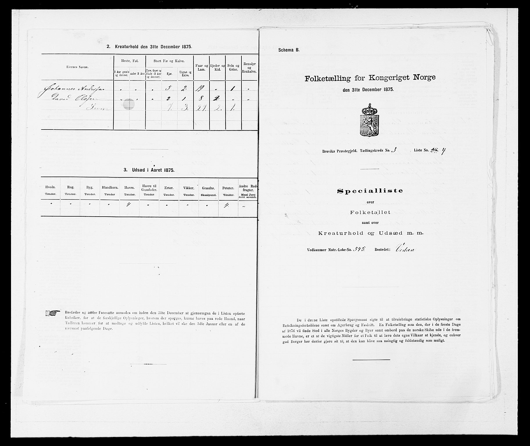 SAB, Folketelling 1875 for 1251P Bruvik prestegjeld, 1875, s. 411