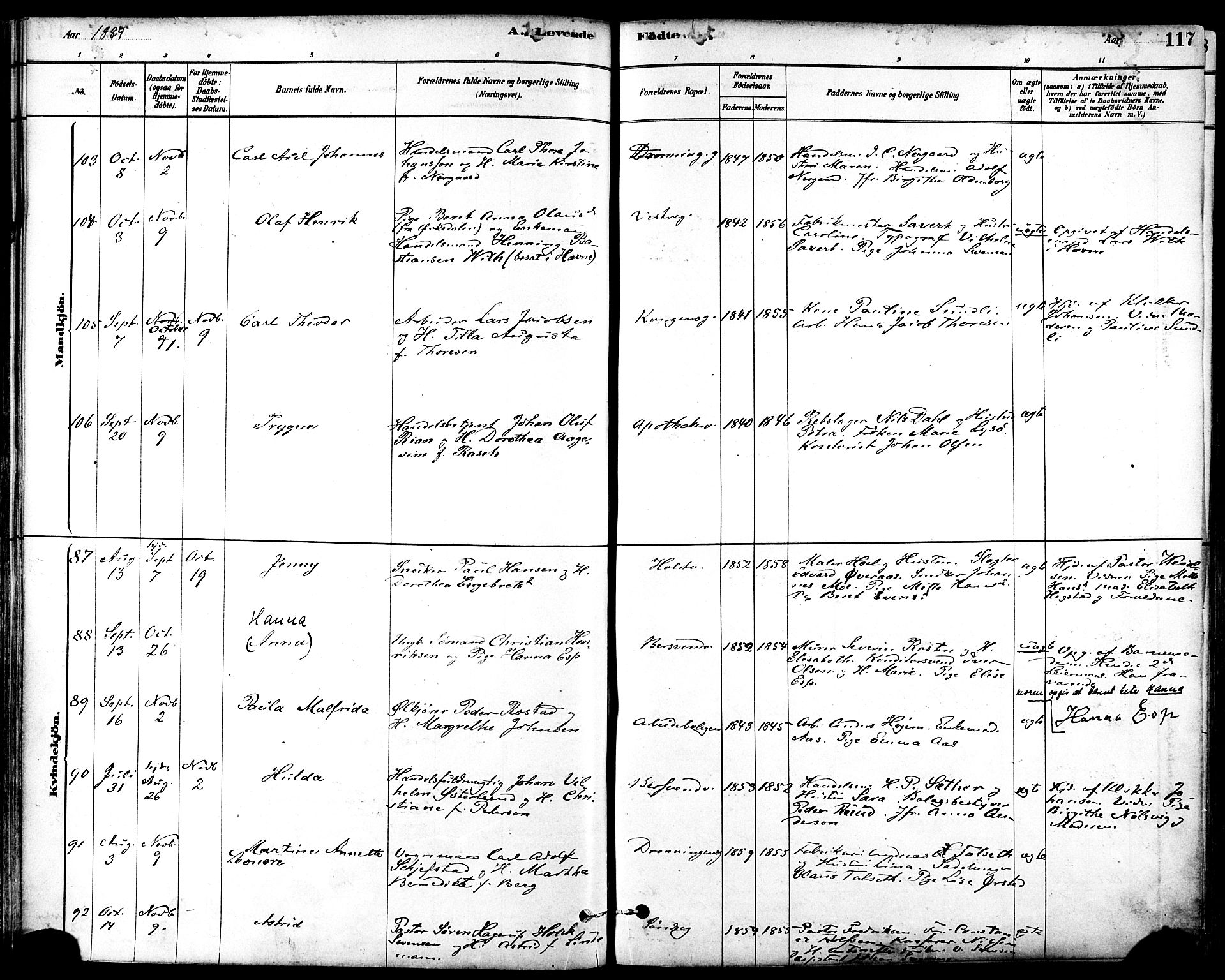 Ministerialprotokoller, klokkerbøker og fødselsregistre - Sør-Trøndelag, SAT/A-1456/601/L0057: Ministerialbok nr. 601A25, 1877-1891, s. 117