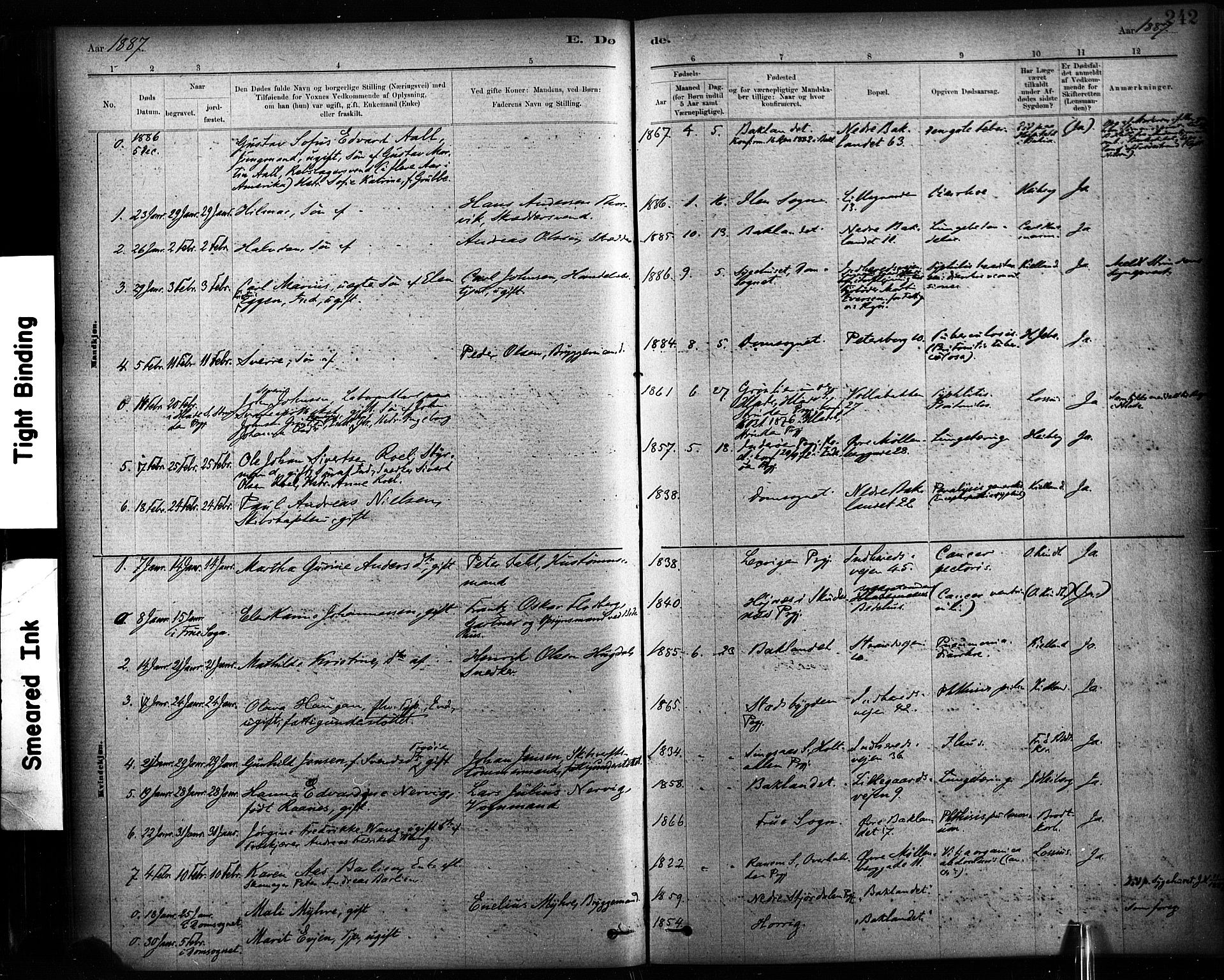 Ministerialprotokoller, klokkerbøker og fødselsregistre - Sør-Trøndelag, AV/SAT-A-1456/604/L0189: Ministerialbok nr. 604A10, 1878-1892, s. 242