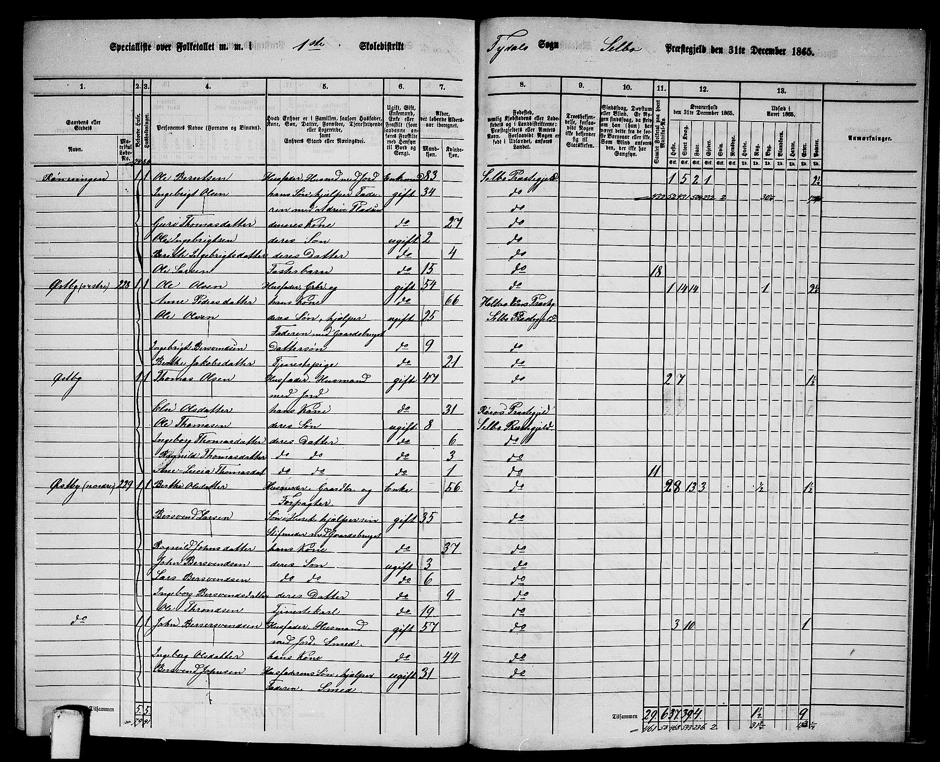 RA, Folketelling 1865 for 1664P Selbu prestegjeld, 1865, s. 239
