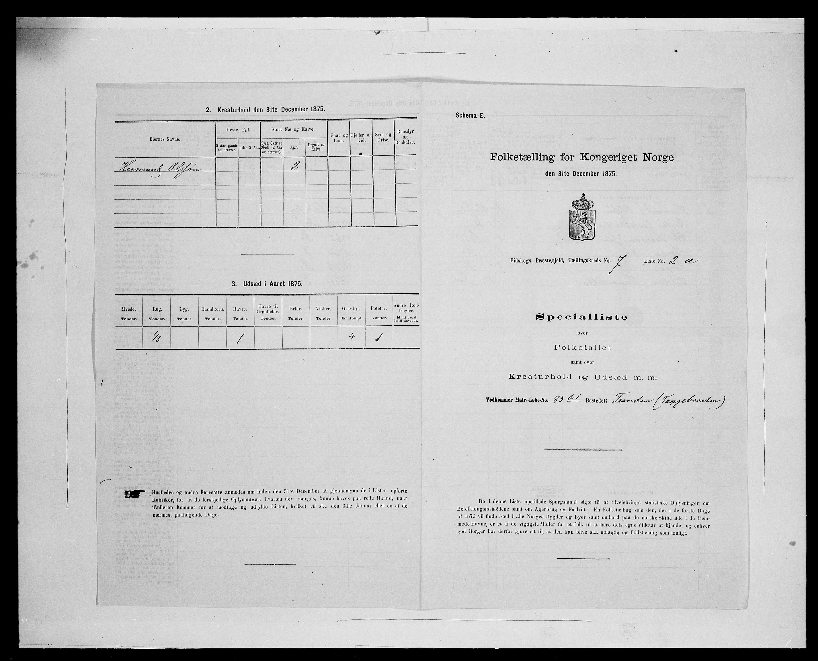 SAH, Folketelling 1875 for 0420P Eidskog prestegjeld, 1875, s. 1236