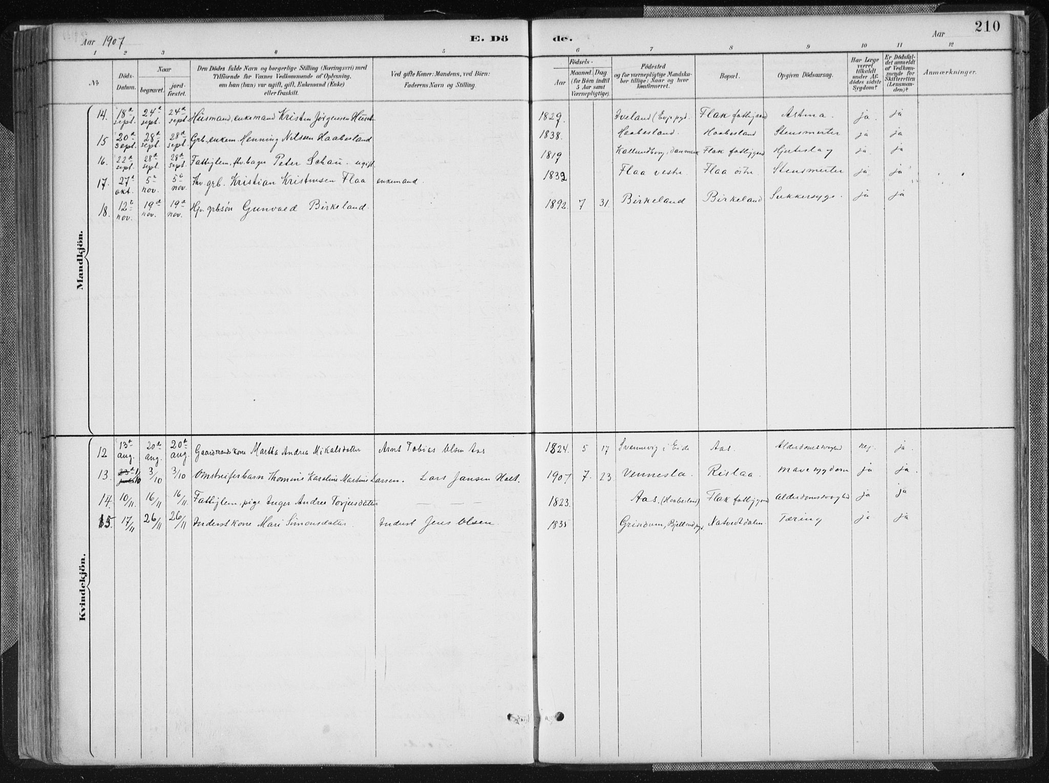 Birkenes sokneprestkontor, SAK/1111-0004/F/Fa/L0005: Ministerialbok nr. A 5, 1887-1907, s. 210