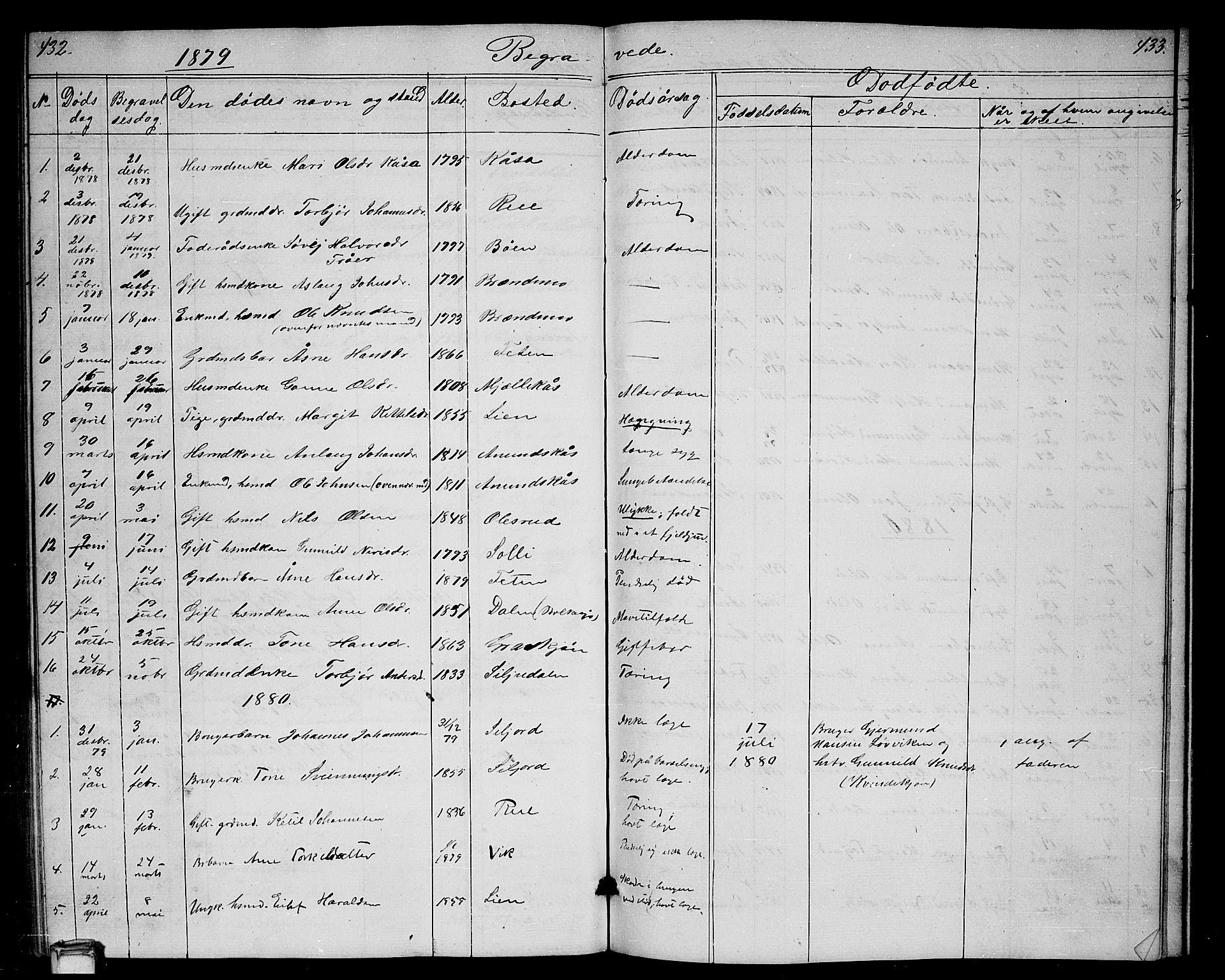 Gransherad kirkebøker, AV/SAKO-A-267/G/Ga/L0002: Klokkerbok nr. I 2, 1854-1886, s. 432-433
