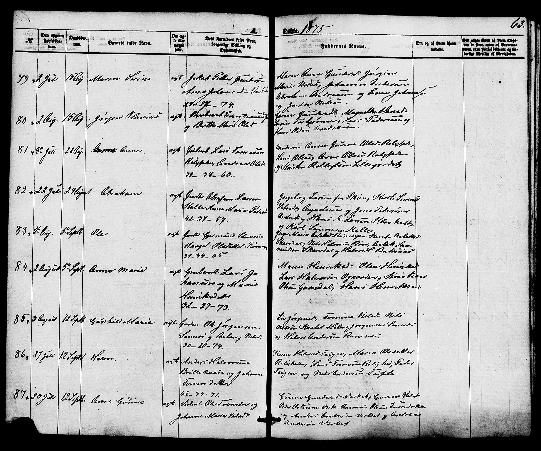Holla kirkebøker, AV/SAKO-A-272/F/Fa/L0007: Ministerialbok nr. 7, 1869-1881, s. 63