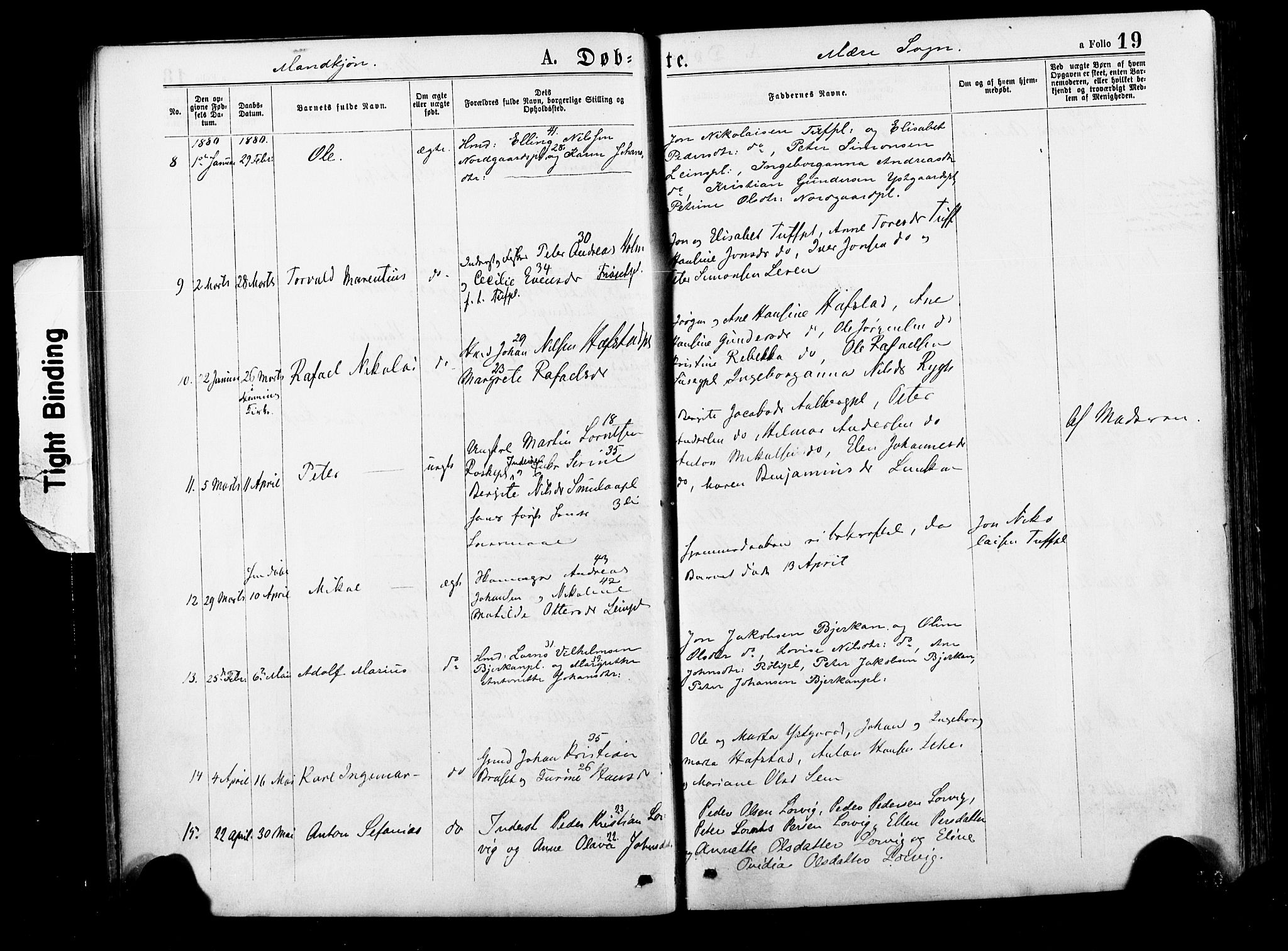 Ministerialprotokoller, klokkerbøker og fødselsregistre - Nord-Trøndelag, SAT/A-1458/735/L0348: Ministerialbok nr. 735A09 /1, 1873-1883, s. 19