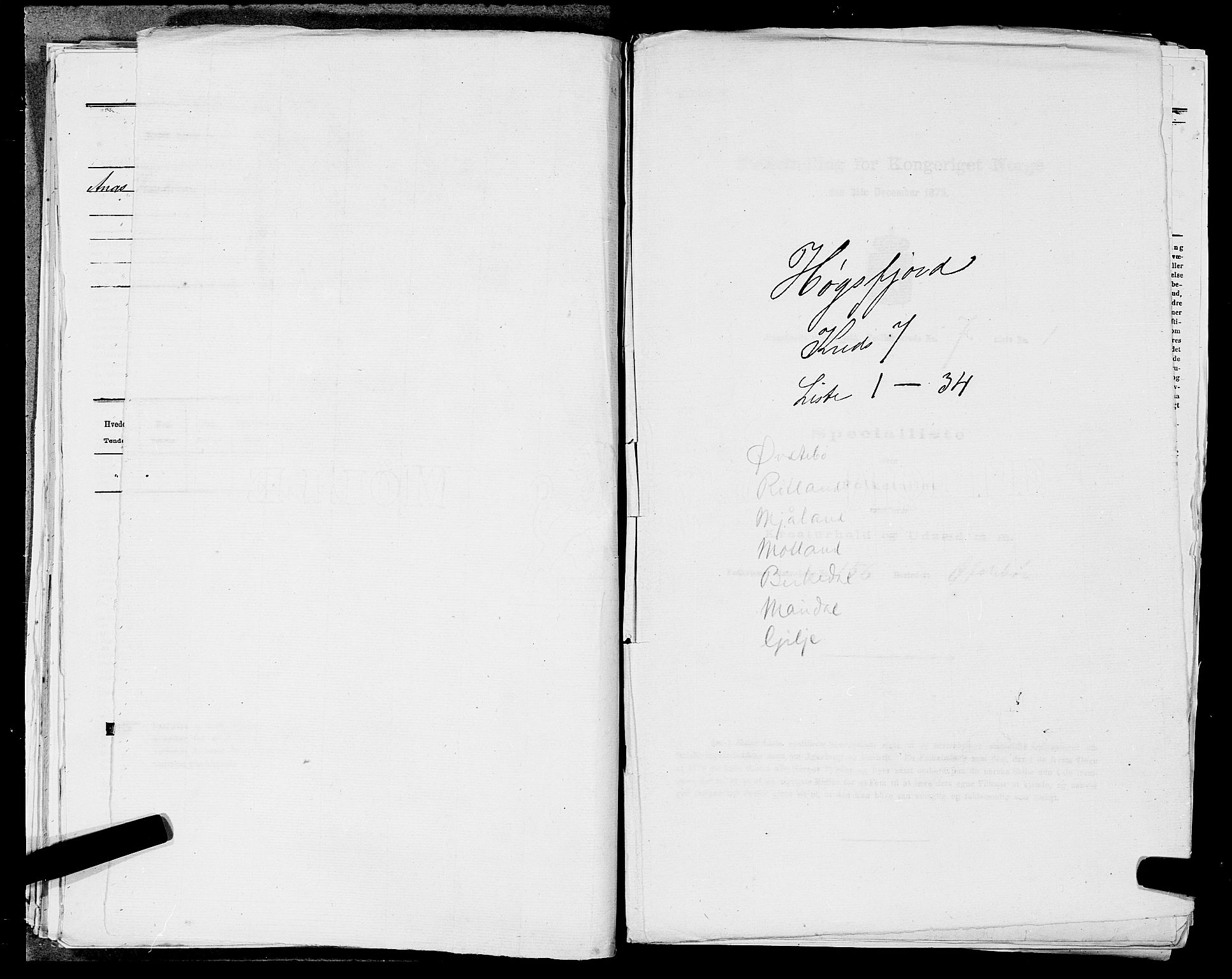 SAST, Folketelling 1875 for 1128P Høgsfjord prestegjeld, 1875, s. 595