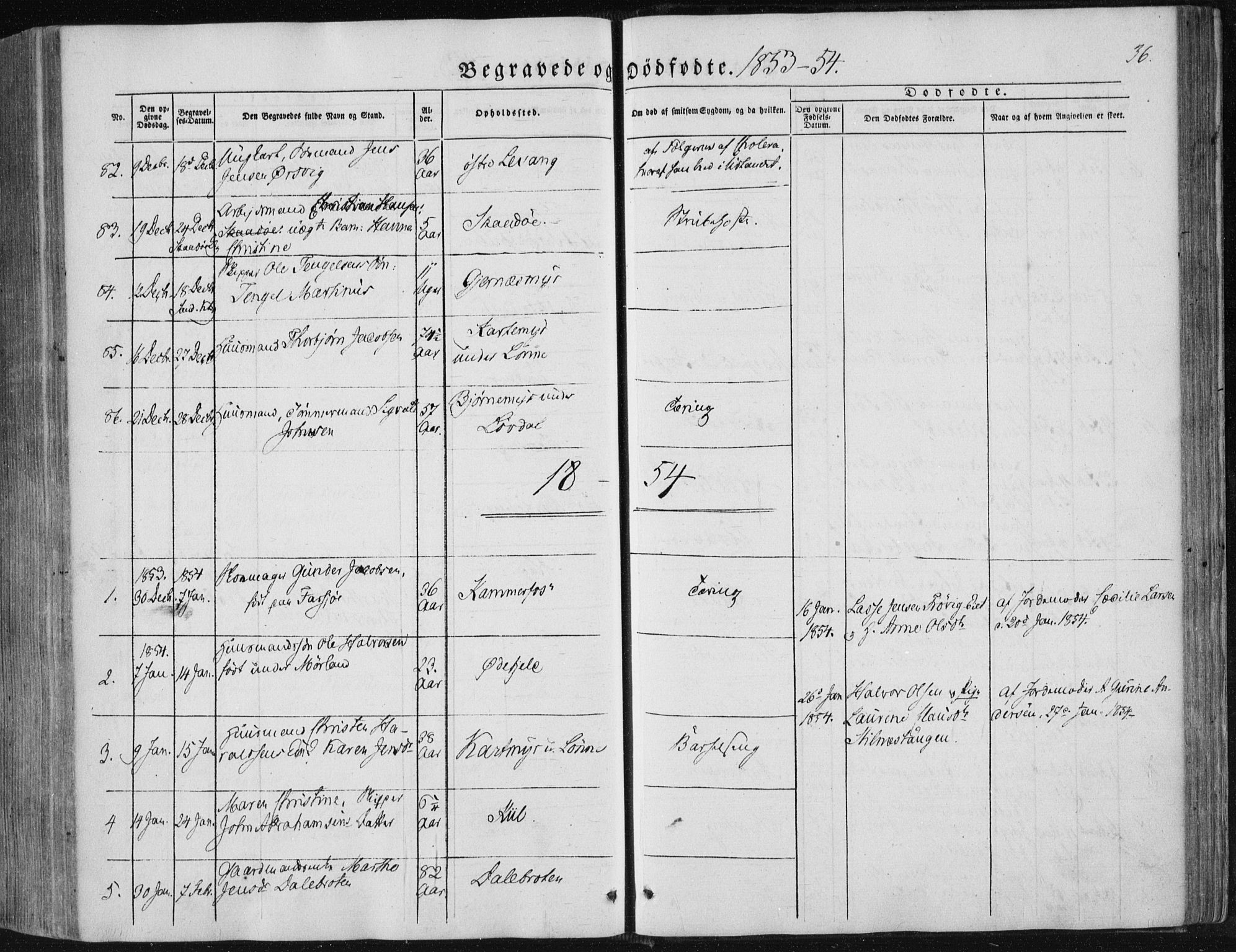 Sannidal kirkebøker, AV/SAKO-A-296/F/Fa/L0008: Ministerialbok nr. 8, 1847-1862, s. 36