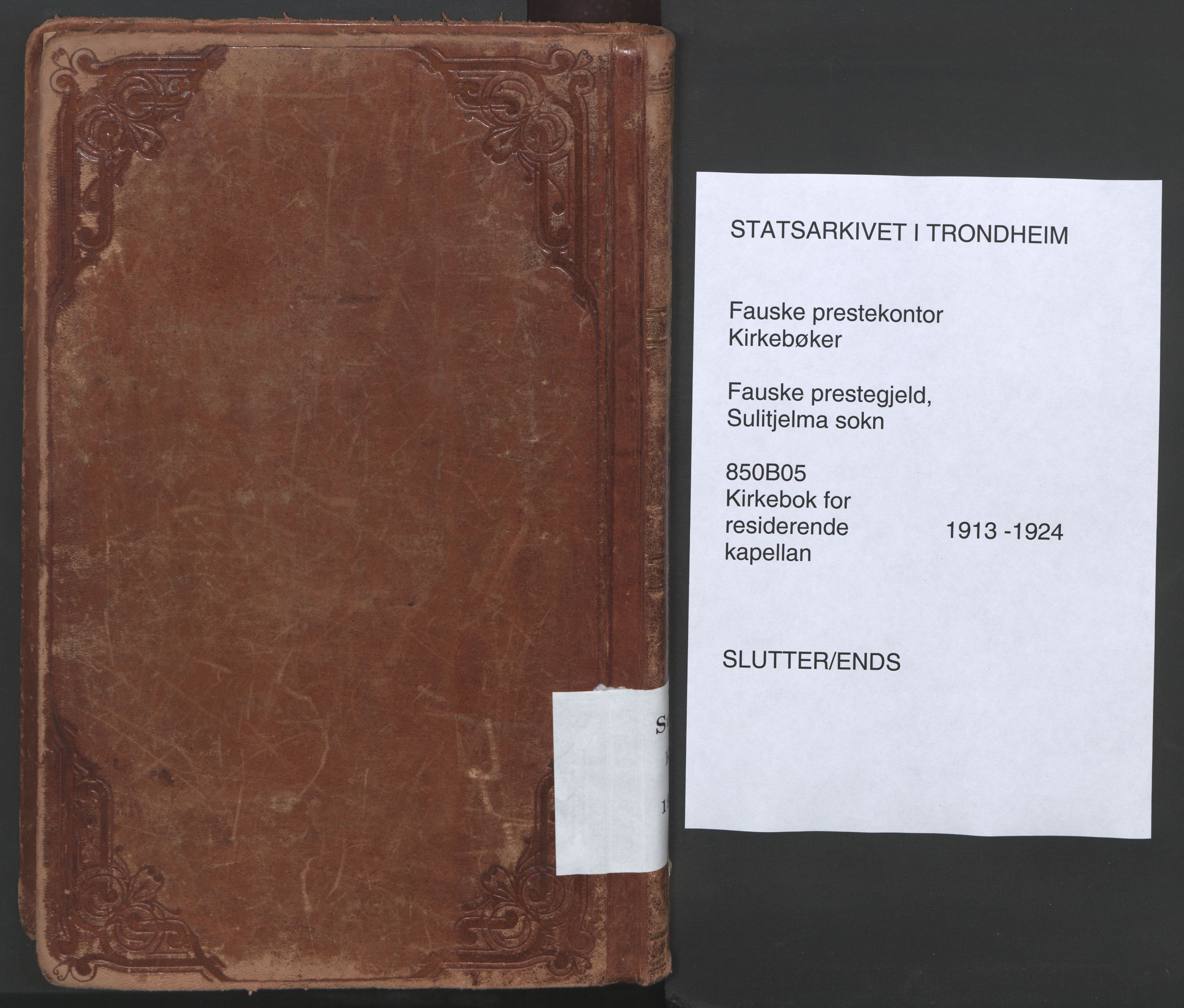 Ministerialprotokoller, klokkerbøker og fødselsregistre - Nordland, AV/SAT-A-1459/850/L0715: Residerende kapellans bok nr. 850B05, 1913-1924