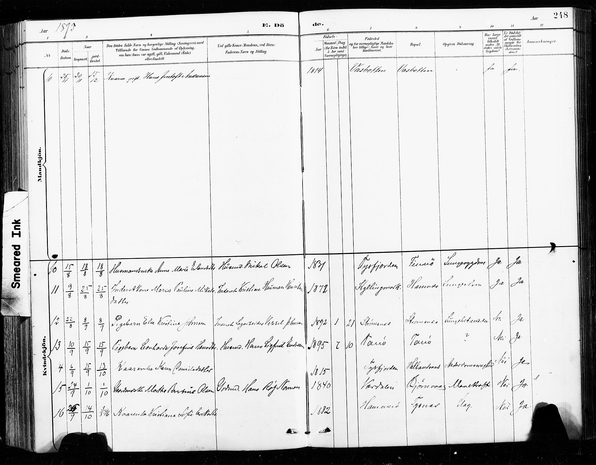 Ministerialprotokoller, klokkerbøker og fødselsregistre - Nordland, AV/SAT-A-1459/859/L0847: Ministerialbok nr. 859A07, 1890-1899, s. 248