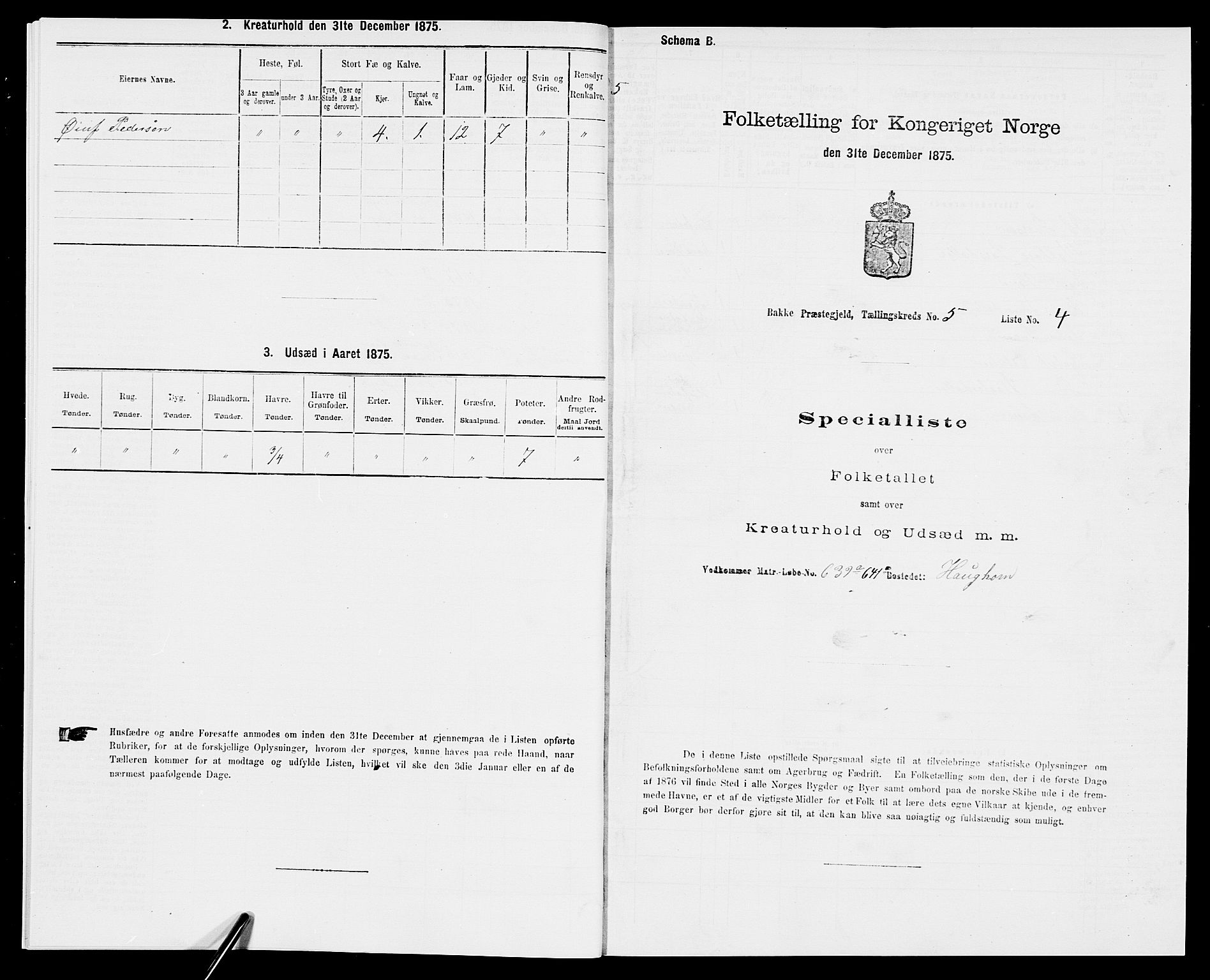SAK, Folketelling 1875 for 1045P Bakke prestegjeld, 1875, s. 491