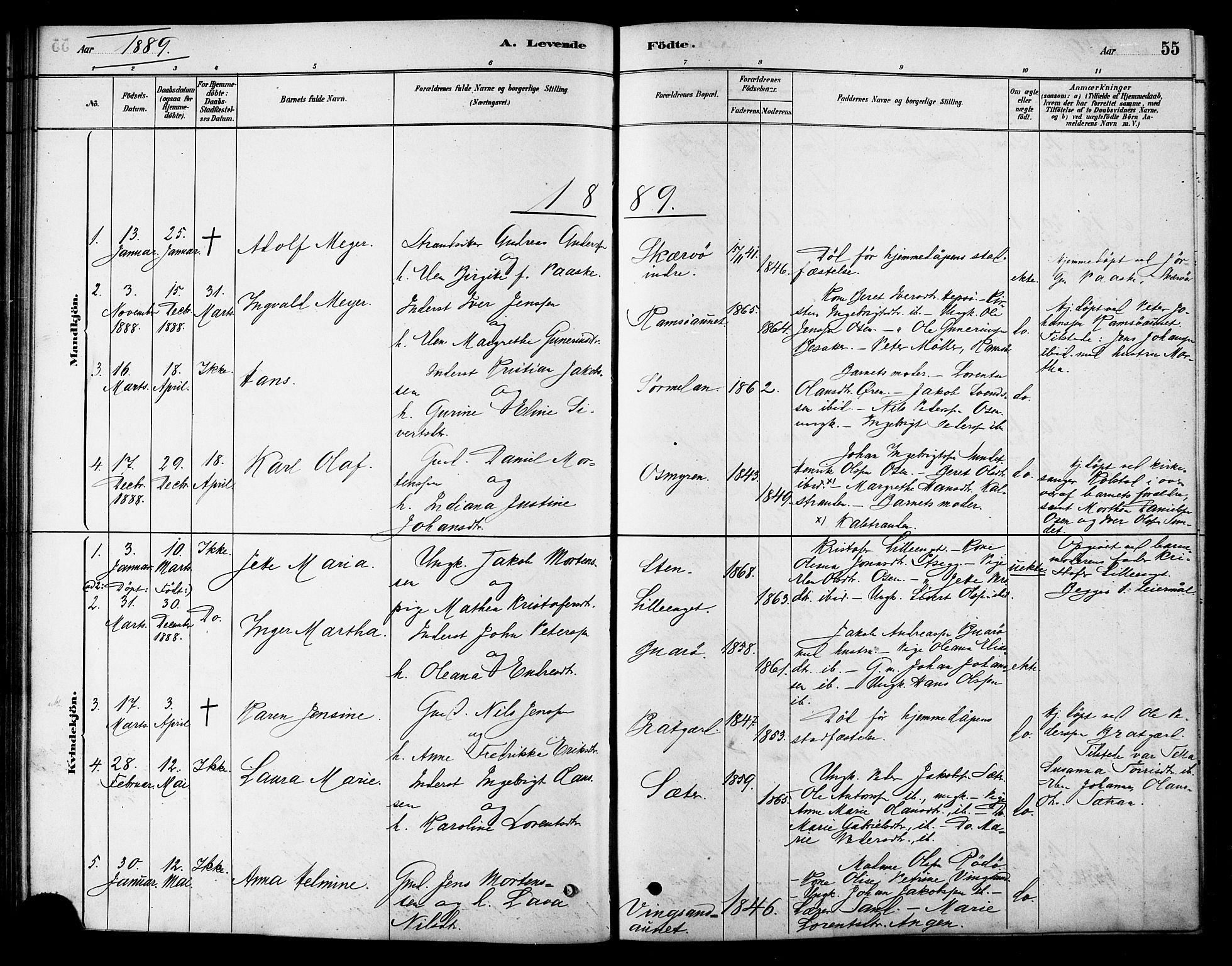 Ministerialprotokoller, klokkerbøker og fødselsregistre - Sør-Trøndelag, AV/SAT-A-1456/658/L0722: Ministerialbok nr. 658A01, 1879-1896, s. 55