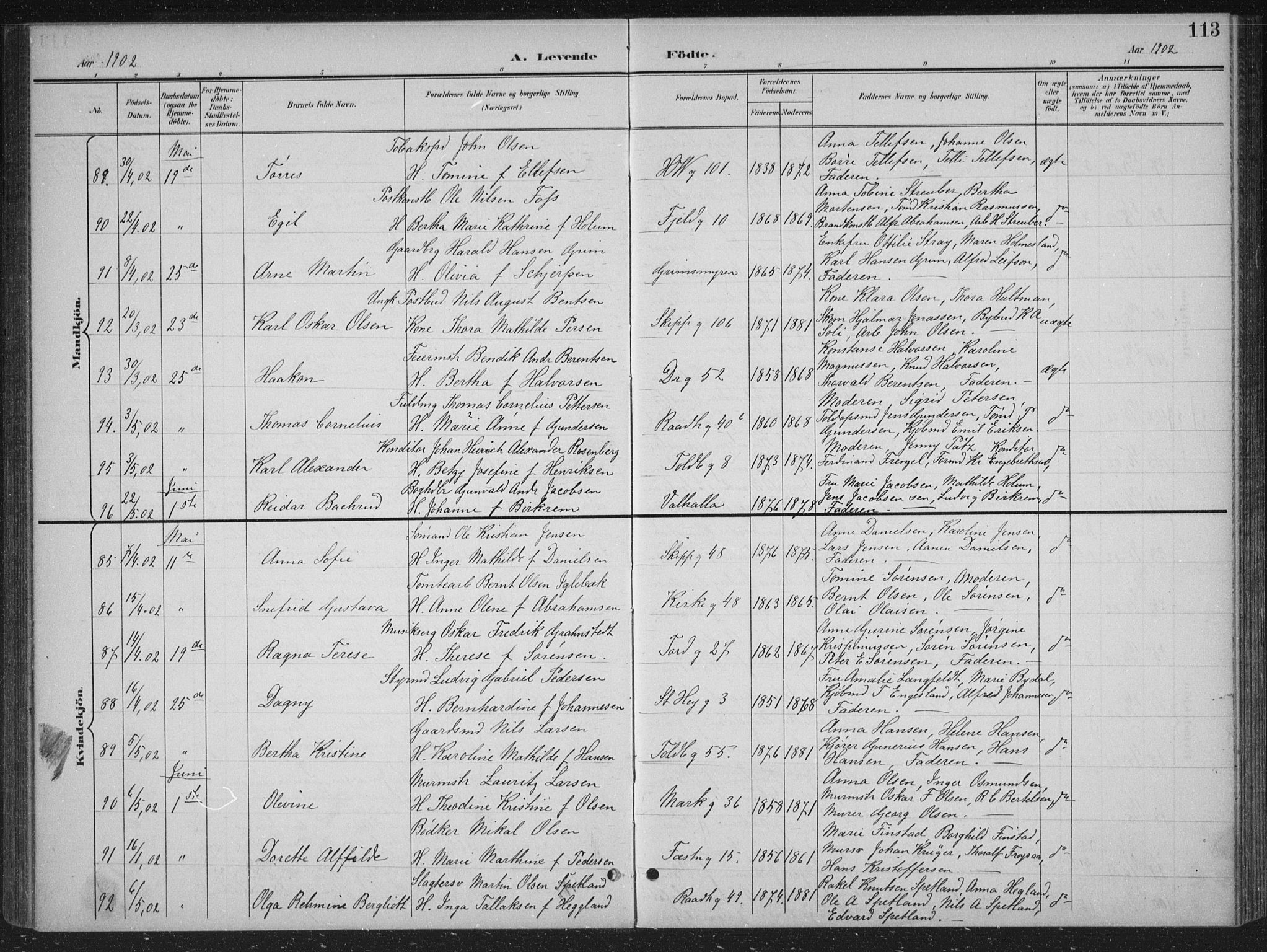 Kristiansand domprosti, AV/SAK-1112-0006/F/Fb/L0018: Klokkerbok nr. B 18, 1896-1905, s. 113