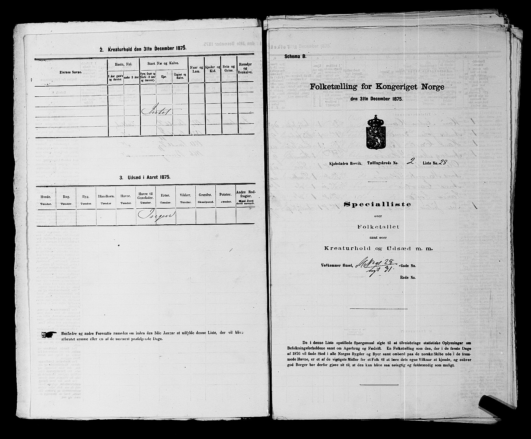 SAKO, Folketelling 1875 for 0804P Brevik prestegjeld, 1875, s. 80