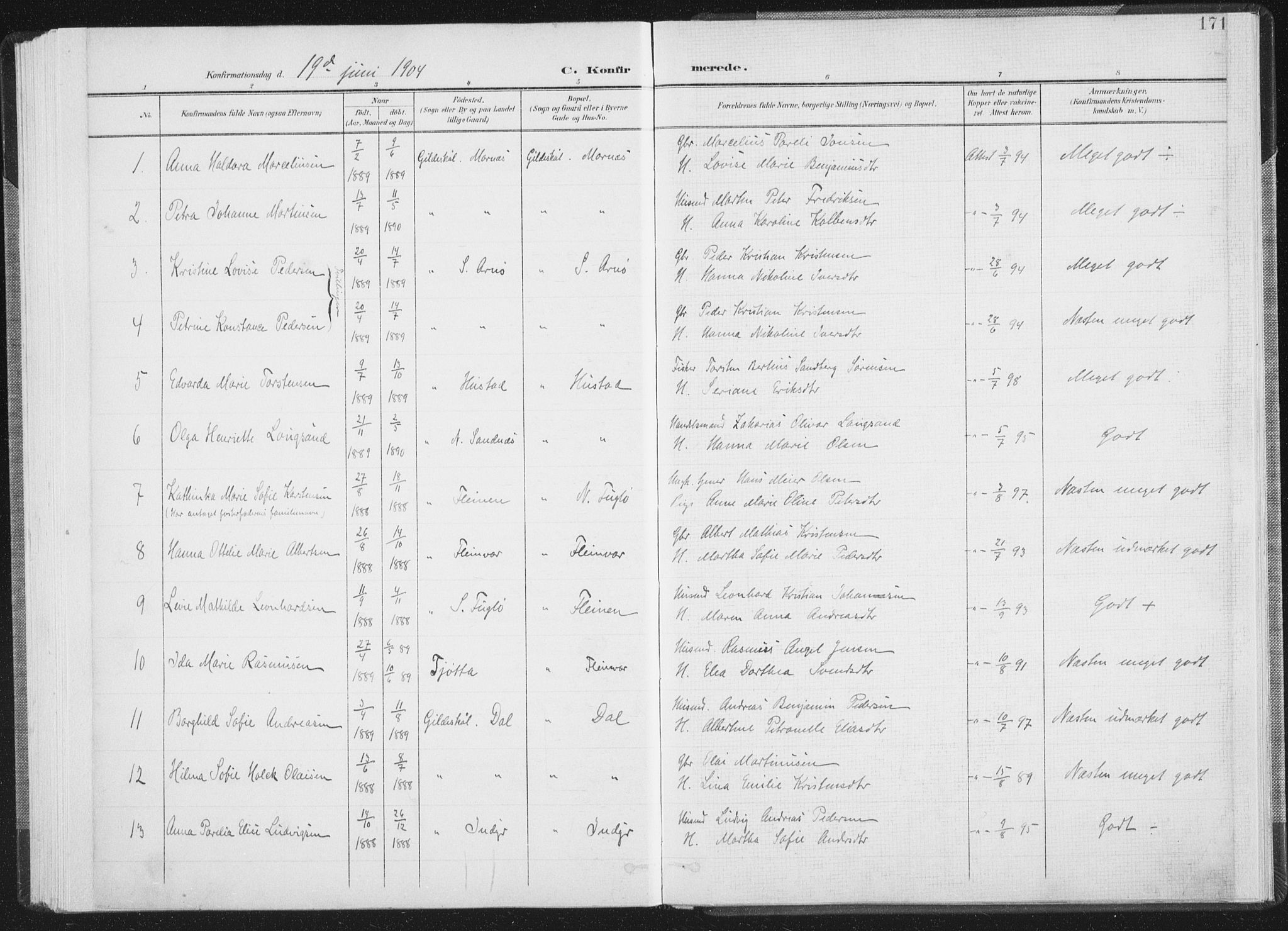 Ministerialprotokoller, klokkerbøker og fødselsregistre - Nordland, AV/SAT-A-1459/805/L0102: Ministerialbok nr. 805A08I, 1900-1909, s. 171