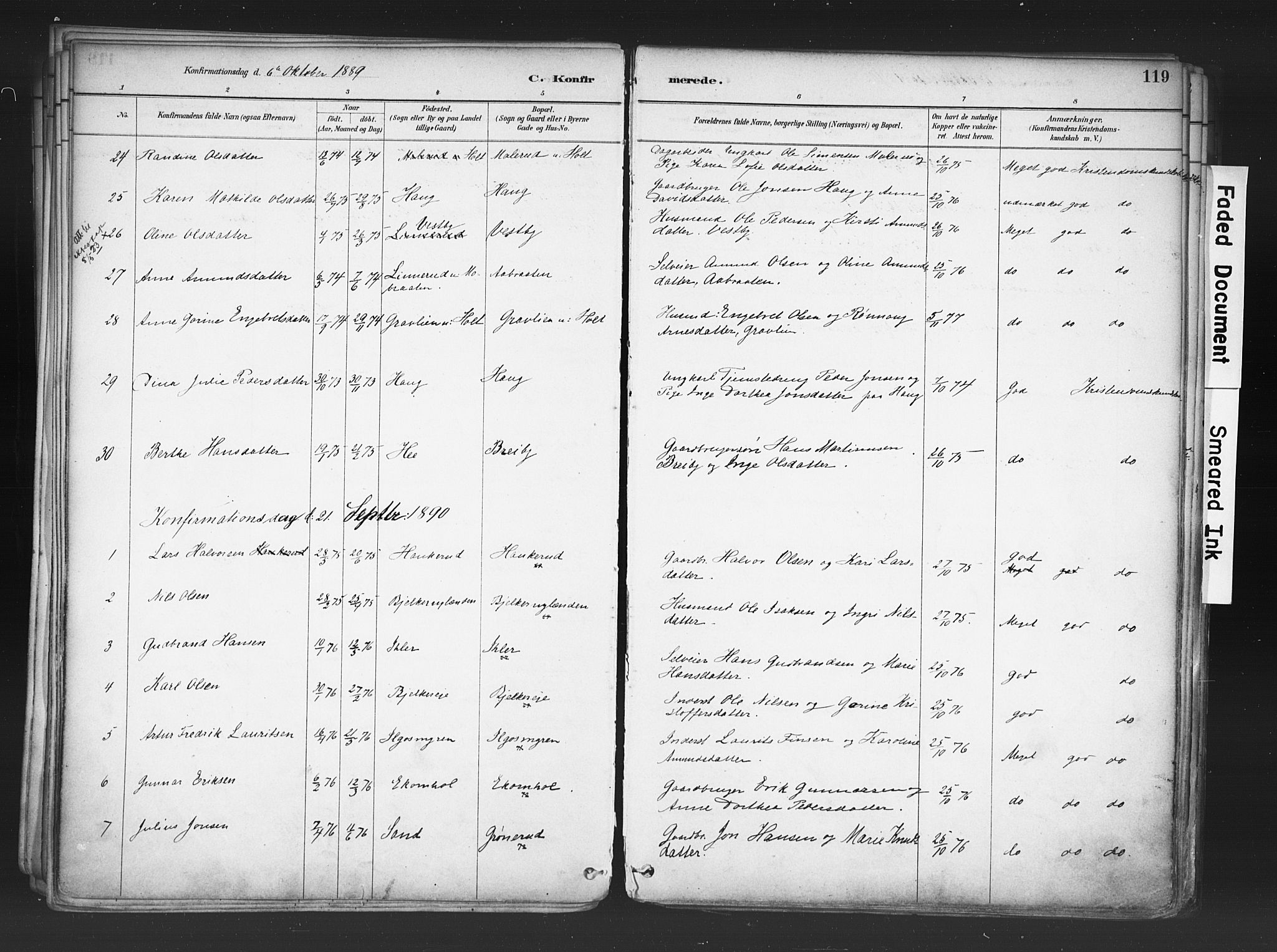 Nord-Odal prestekontor, AV/SAH-PREST-032/H/Ha/Haa/L0006: Ministerialbok nr. 6, 1886-1901, s. 119