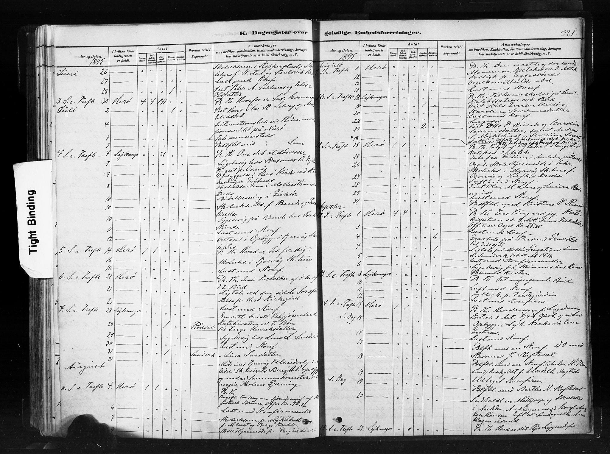 Ministerialprotokoller, klokkerbøker og fødselsregistre - Møre og Romsdal, AV/SAT-A-1454/507/L0073: Ministerialbok nr. 507A08, 1878-1904, s. 381