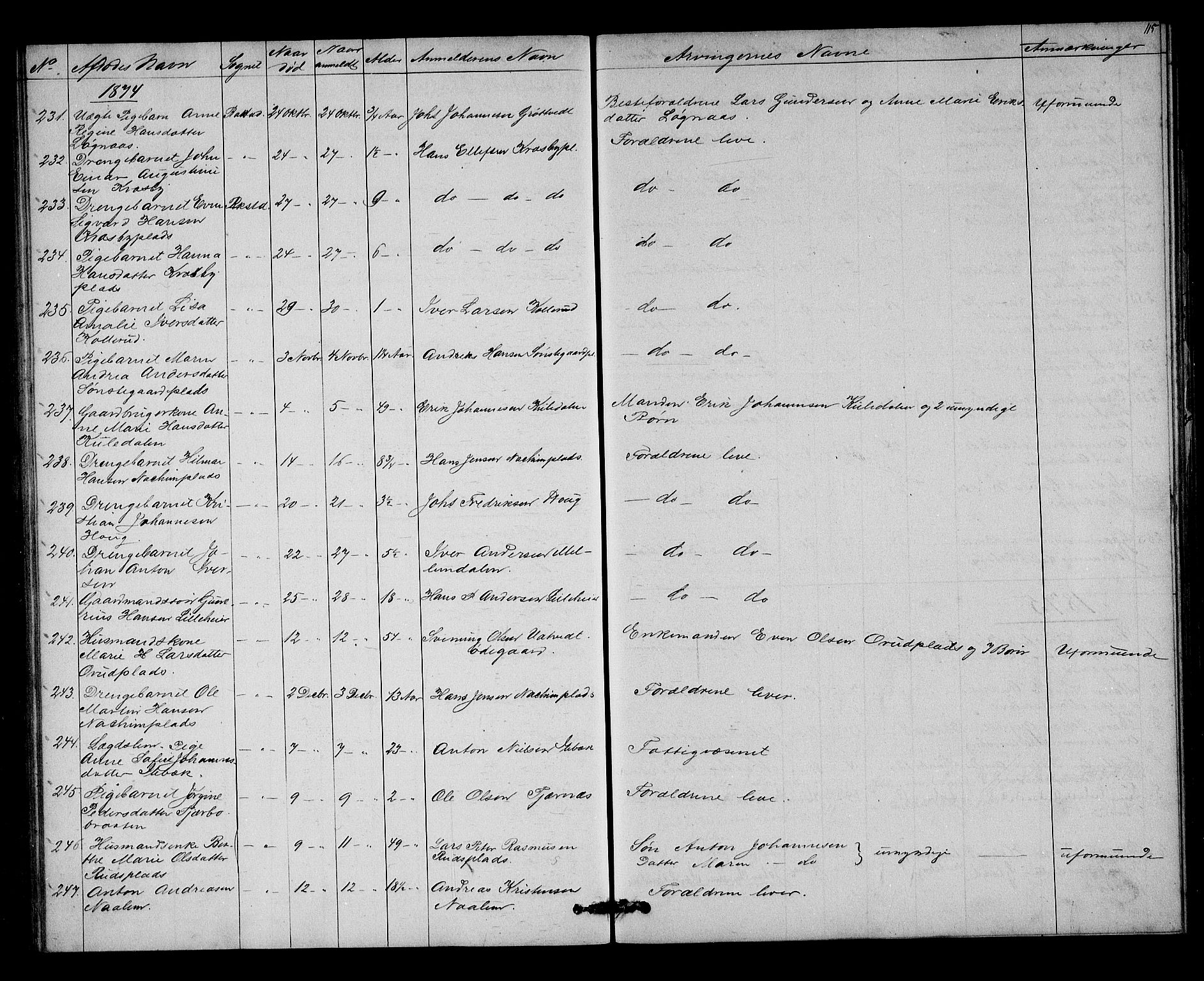 Rakkestad sorenskriveri, SAO/A-10686/H/Ha/Haa/L0004: Dødsanmeldelsesprotokoller, 1869-1878, s. 115