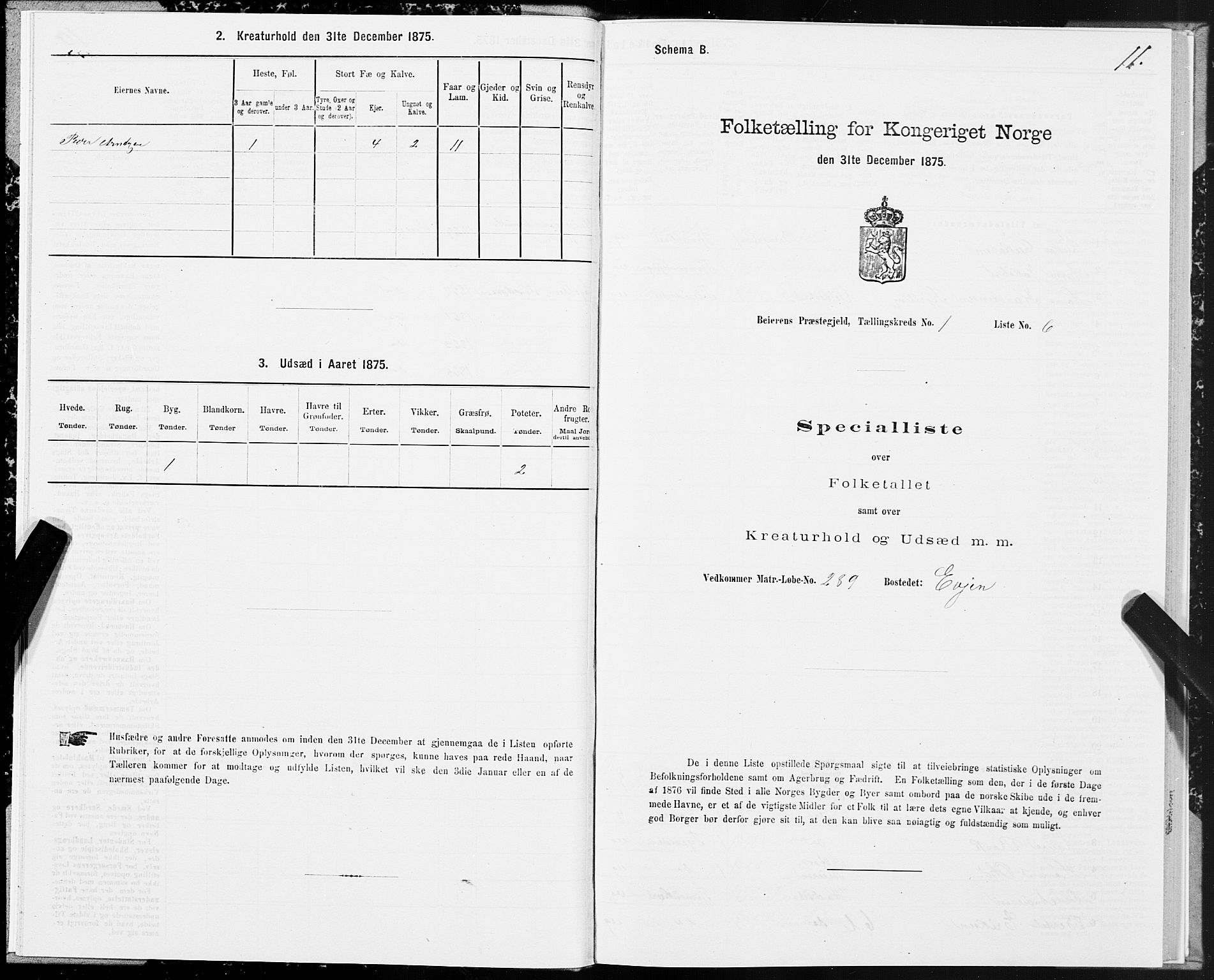 SAT, Folketelling 1875 for 1839P Beiarn prestegjeld, 1875, s. 1011