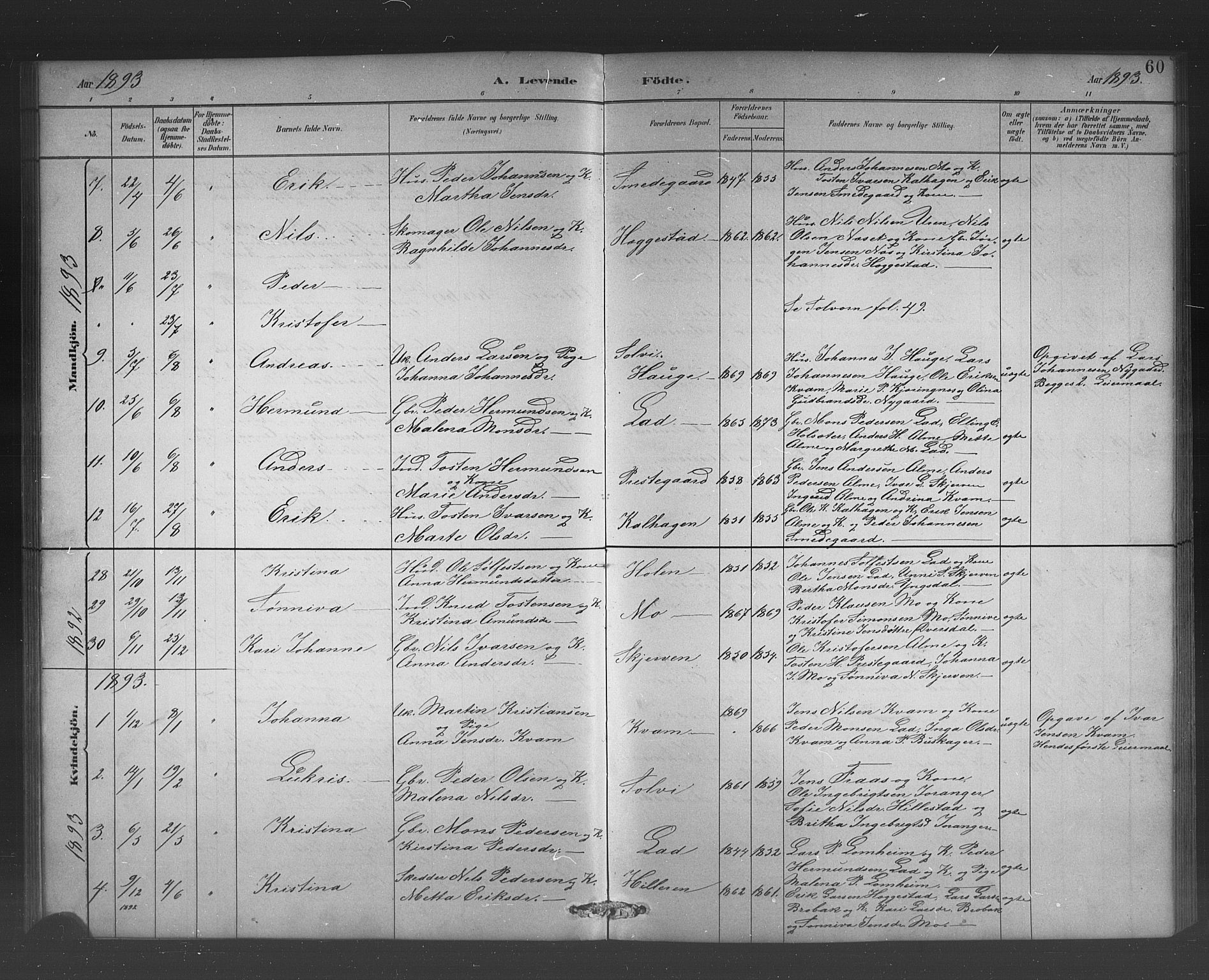 Hafslo sokneprestembete, AV/SAB-A-80301/H/Hab/Habb/L0001: Klokkerbok nr. B 1, 1882-1908, s. 60