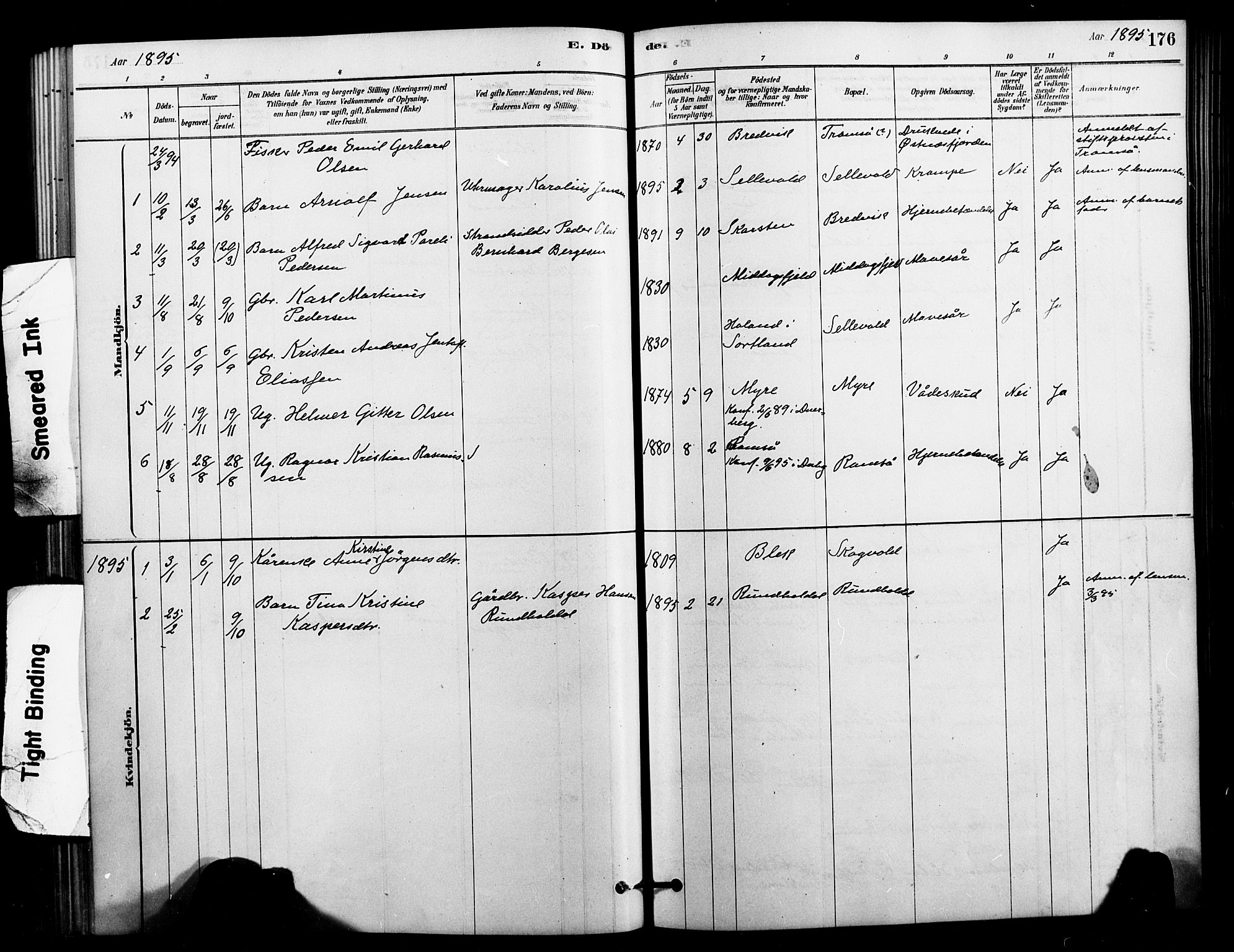 Ministerialprotokoller, klokkerbøker og fødselsregistre - Nordland, AV/SAT-A-1459/897/L1399: Ministerialbok nr. 897C06, 1881-1896, s. 176