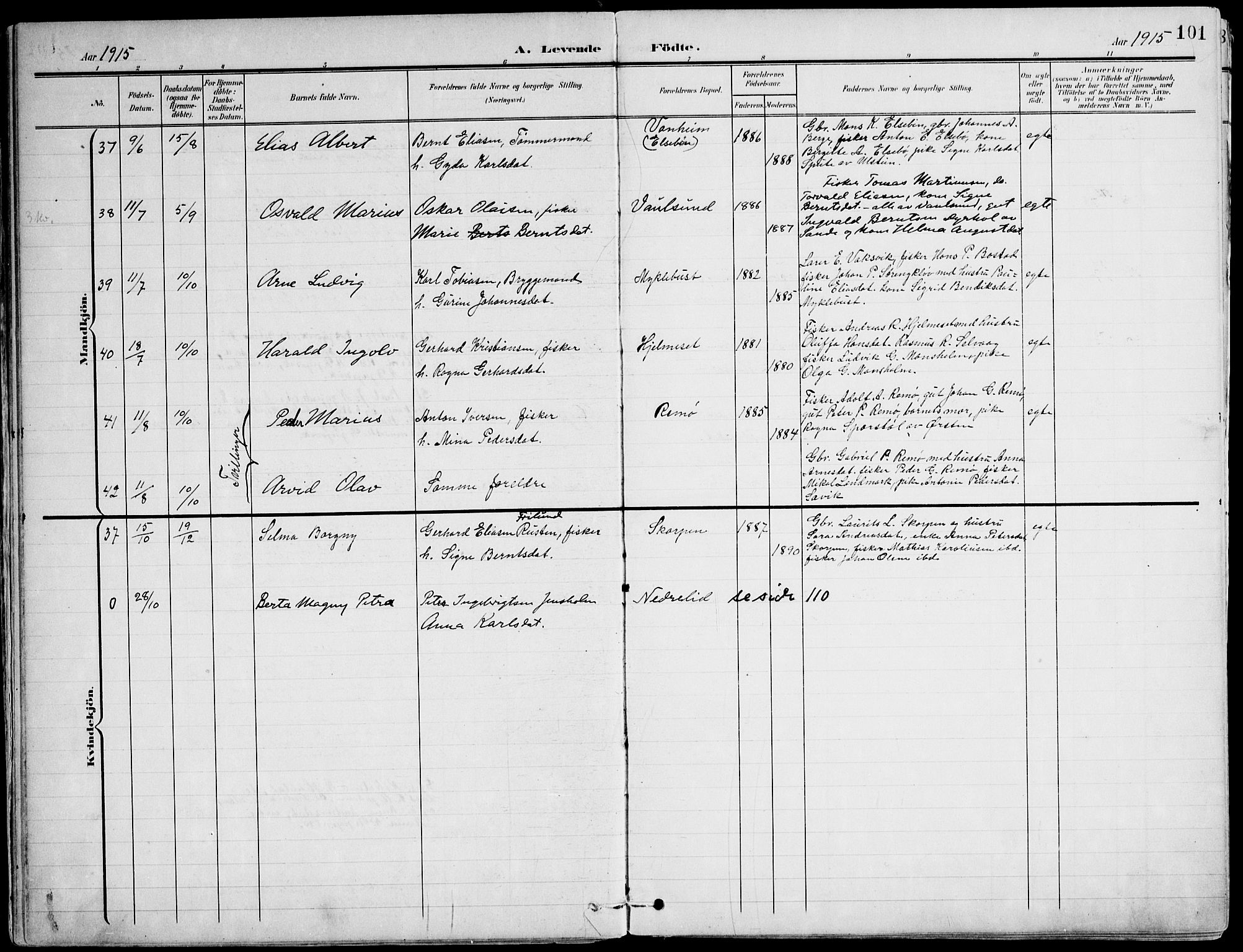 Ministerialprotokoller, klokkerbøker og fødselsregistre - Møre og Romsdal, AV/SAT-A-1454/507/L0075: Ministerialbok nr. 507A10, 1901-1920, s. 101