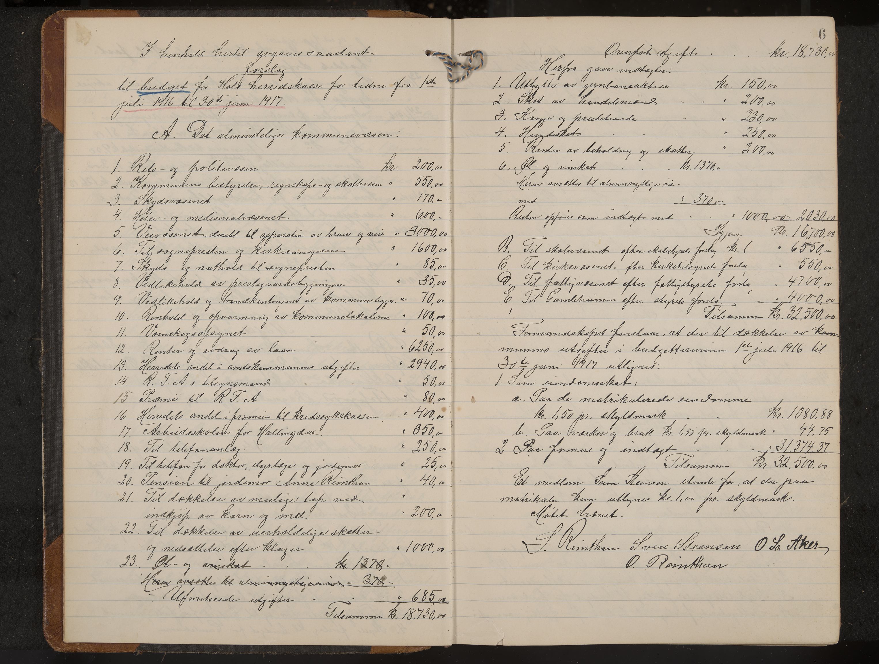 Hol formannskap og sentraladministrasjon, IKAK/0620021-1/A/L0006: Møtebok, 1916-1922, s. 6