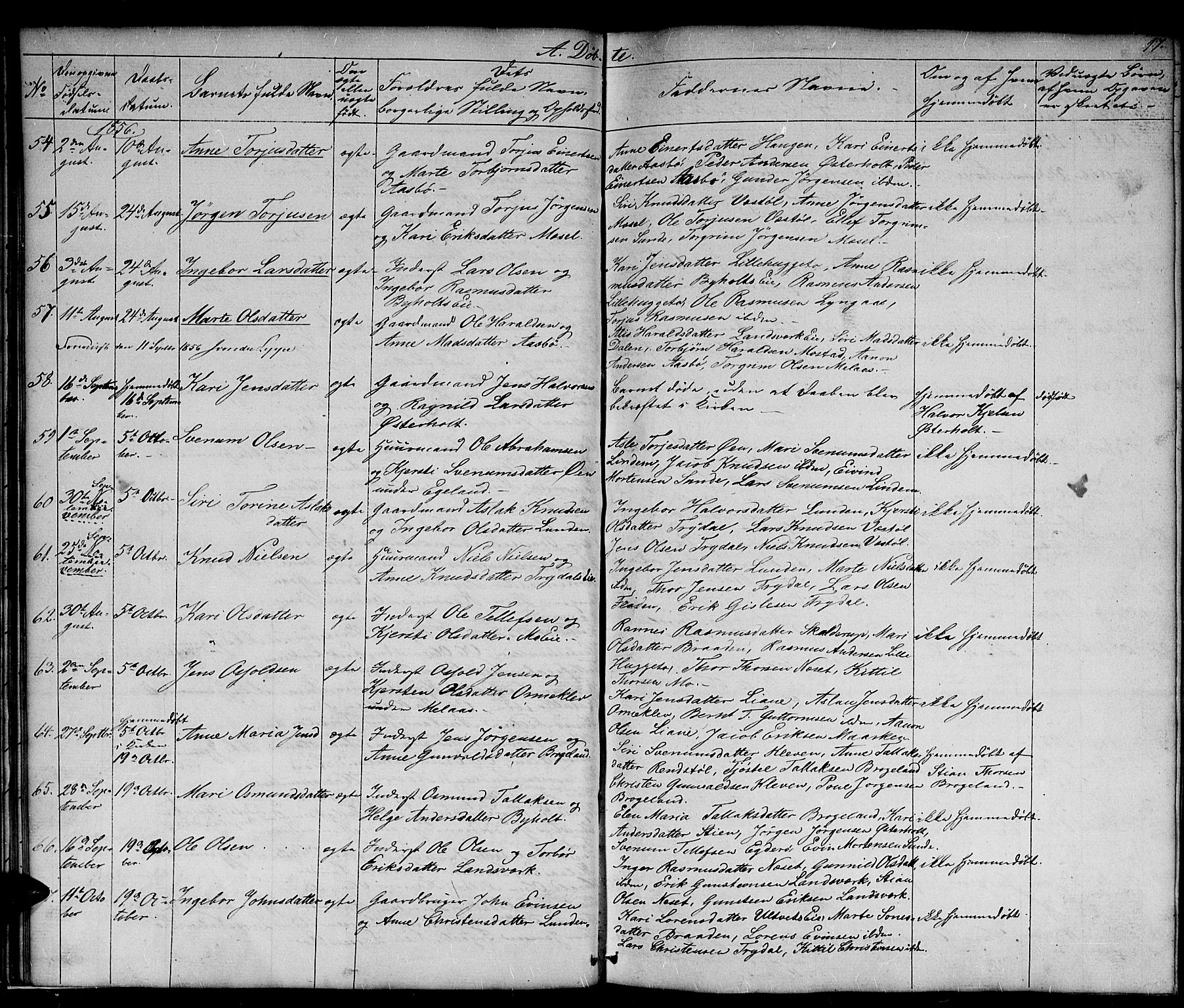 Gjerstad sokneprestkontor, AV/SAK-1111-0014/F/Fb/Fba/L0005: Klokkerbok nr. B 5, 1853-1867, s. 17