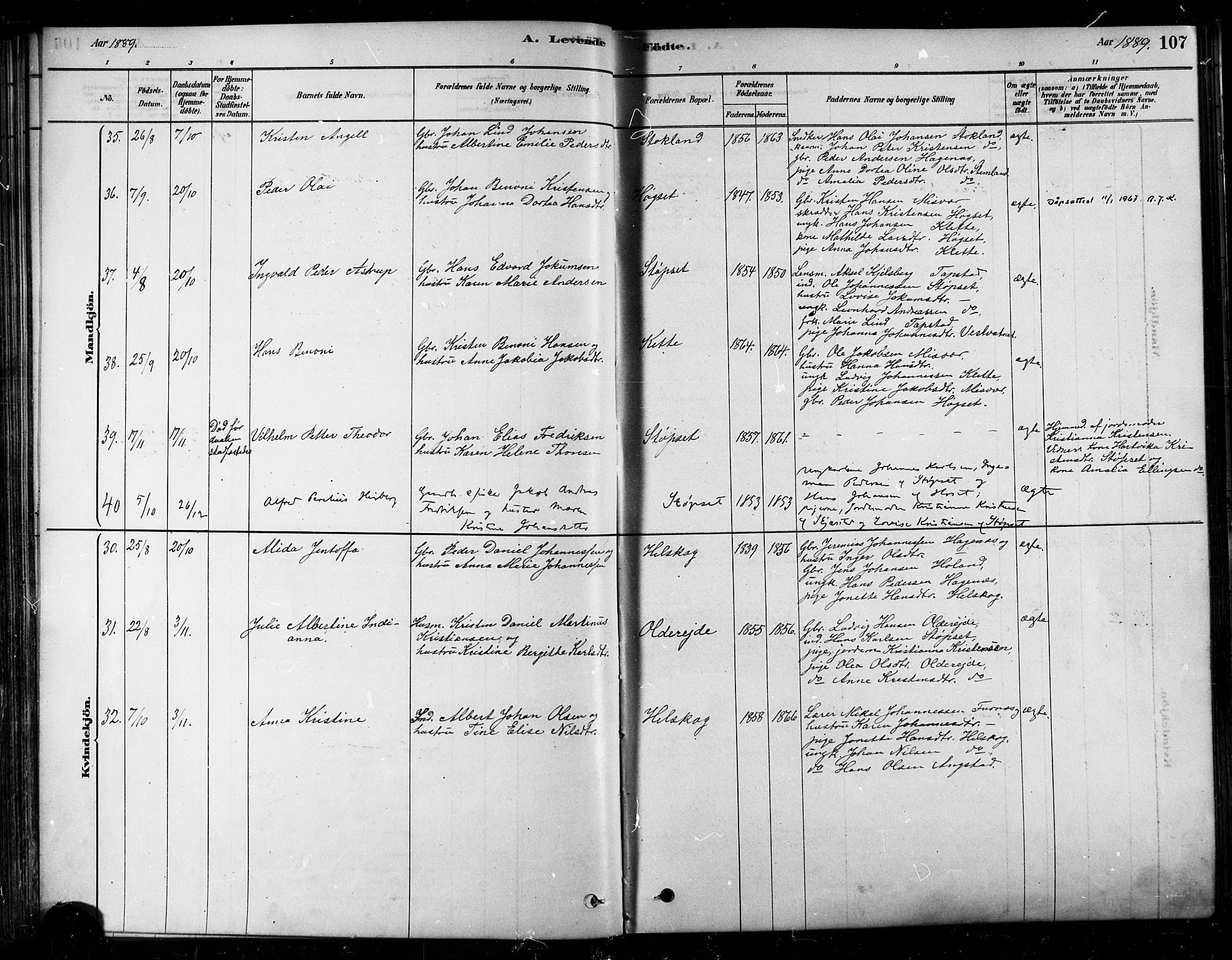 Ministerialprotokoller, klokkerbøker og fødselsregistre - Nordland, SAT/A-1459/852/L0740: Ministerialbok nr. 852A10, 1878-1894, s. 107