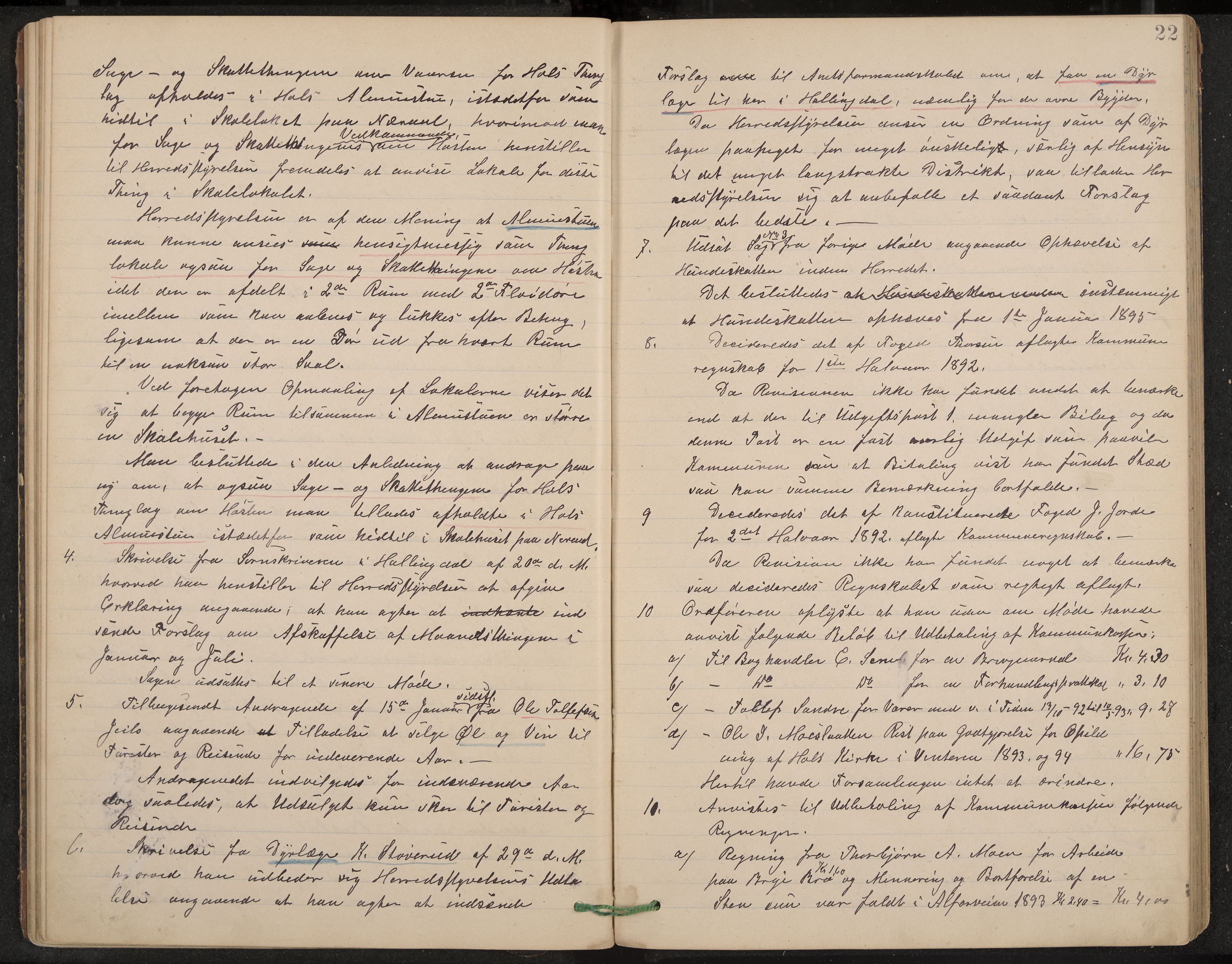 Hol formannskap og sentraladministrasjon, IKAK/0620021-1/A/L0002: Møtebok, 1893-1897, s. 22