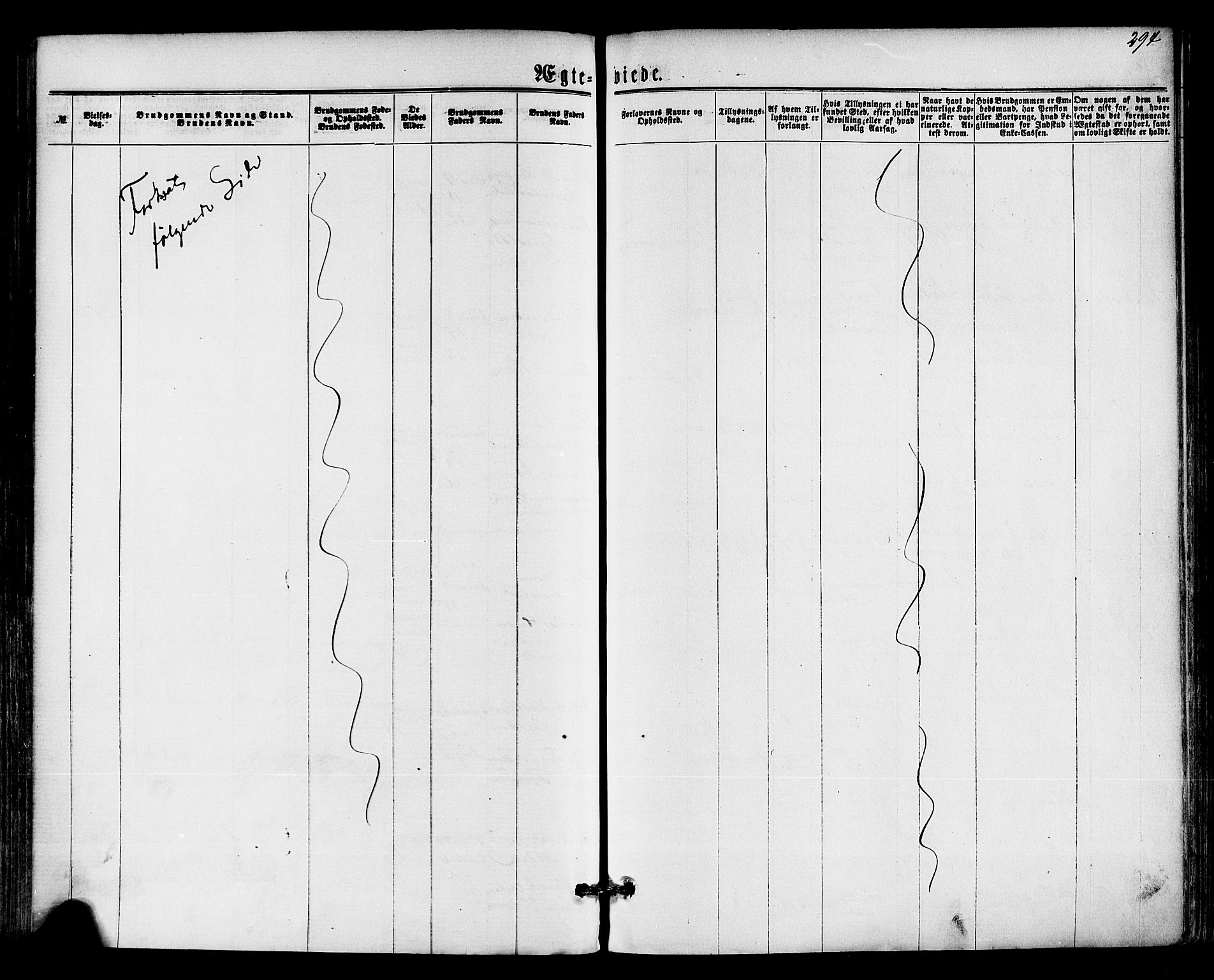 Hedrum kirkebøker, AV/SAKO-A-344/F/Fa/L0008: Ministerialbok nr. I 8, 1869-1880, s. 294