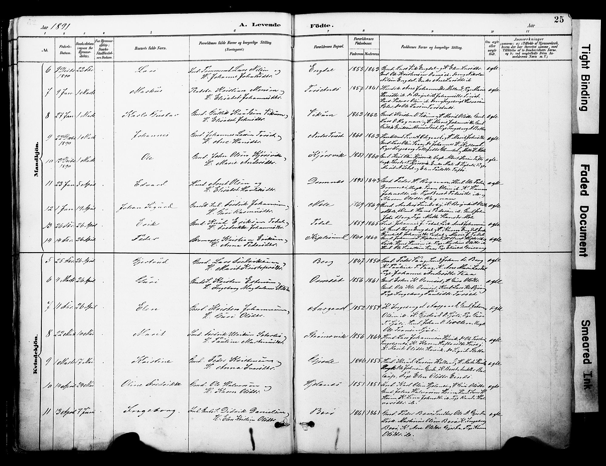 Ministerialprotokoller, klokkerbøker og fødselsregistre - Møre og Romsdal, AV/SAT-A-1454/578/L0907: Ministerialbok nr. 578A06, 1887-1904, s. 25