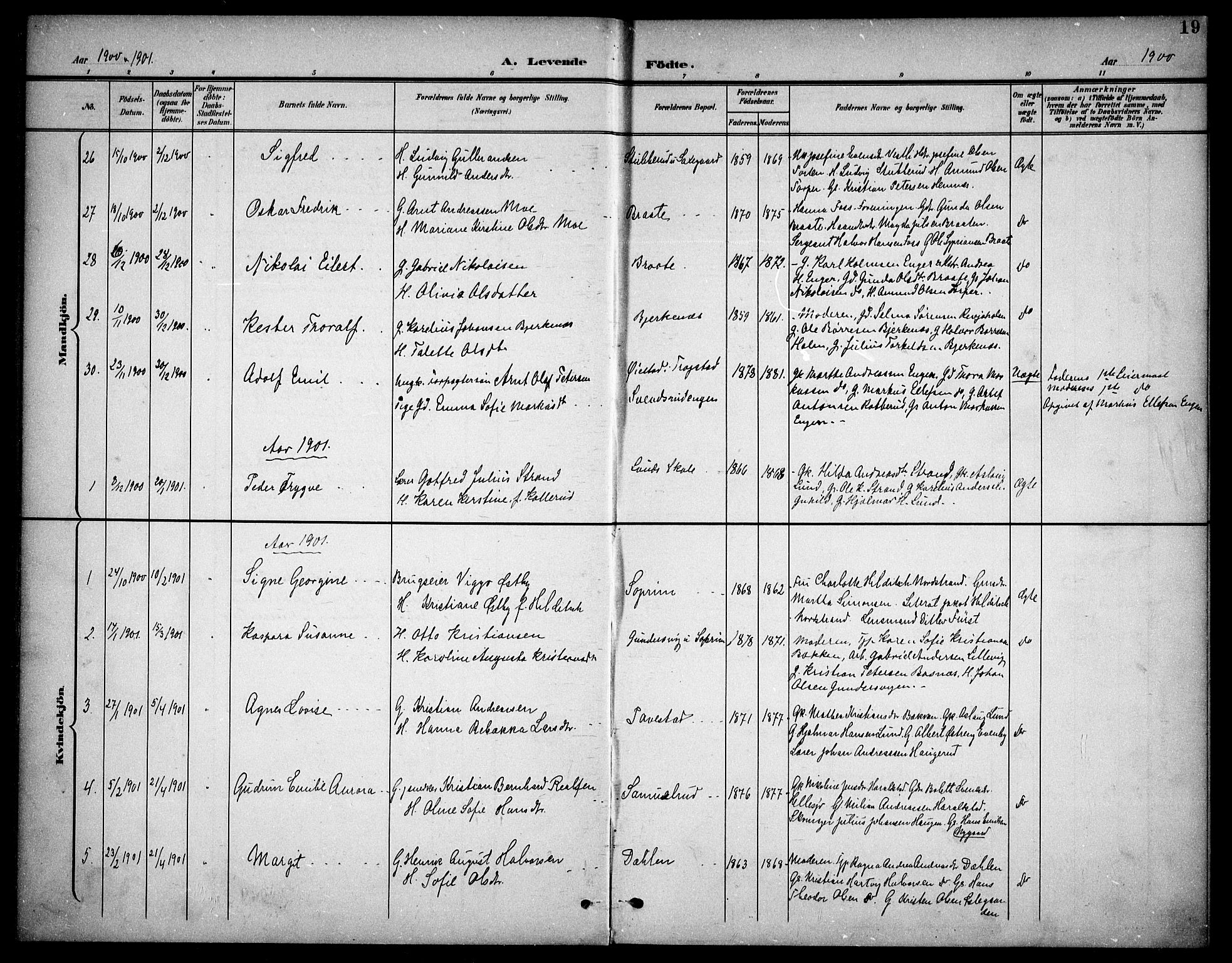 Høland prestekontor Kirkebøker, AV/SAO-A-10346a/F/Fb/L0003: Ministerialbok nr. II 3, 1897-1912, s. 19