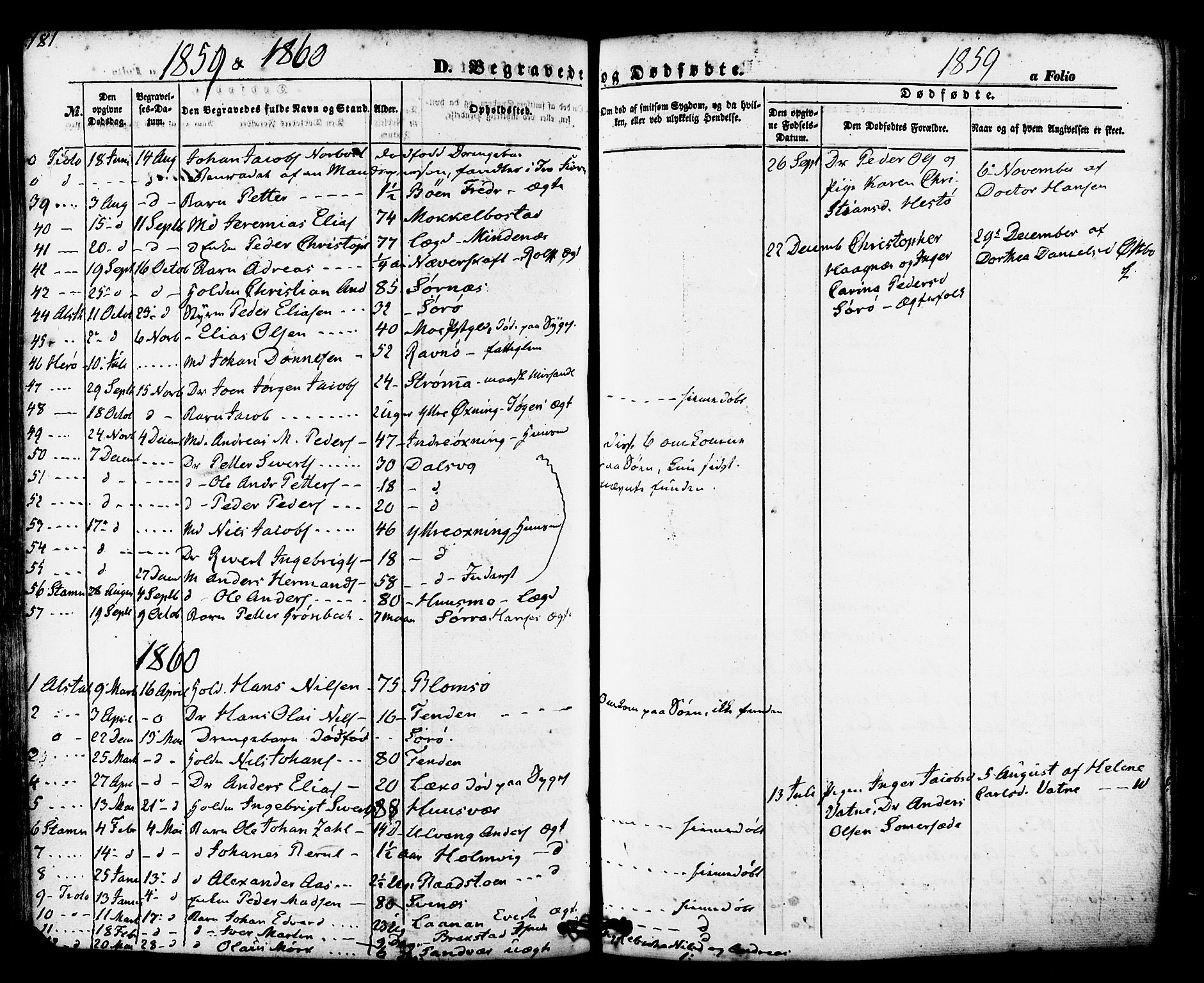 Ministerialprotokoller, klokkerbøker og fødselsregistre - Nordland, SAT/A-1459/830/L0448: Ministerialbok nr. 830A12, 1855-1878, s. 181