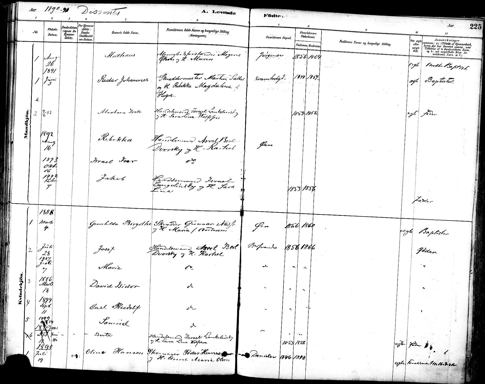 Ministerialprotokoller, klokkerbøker og fødselsregistre - Sør-Trøndelag, SAT/A-1456/601/L0057: Ministerialbok nr. 601A25, 1877-1891, s. 225