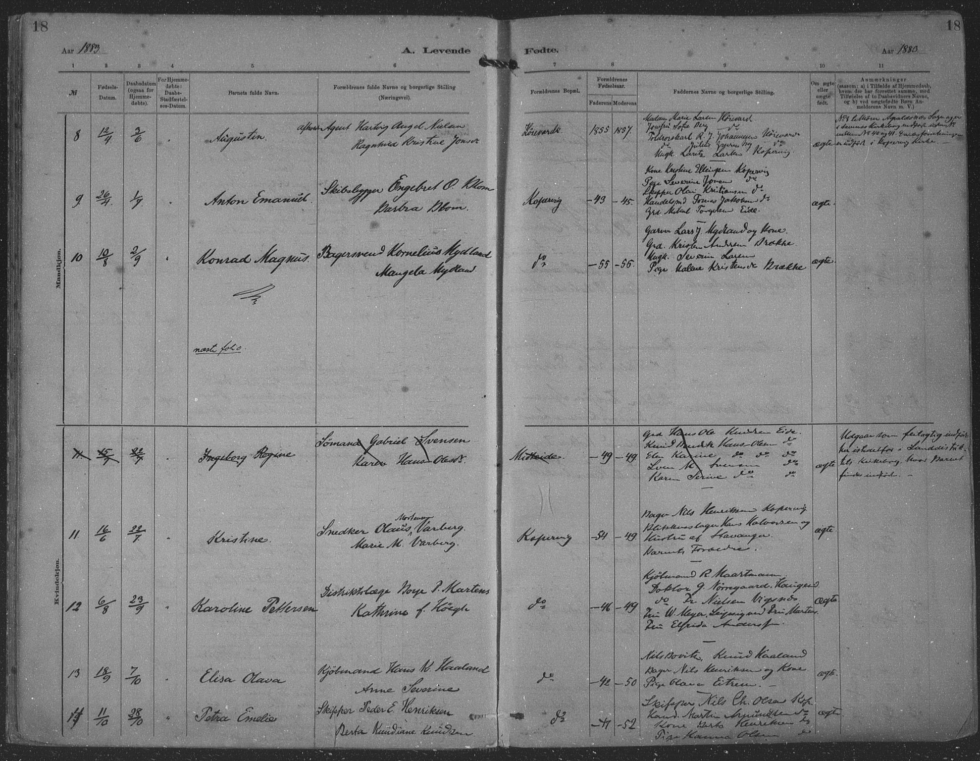 Kopervik sokneprestkontor, AV/SAST-A-101850/H/Ha/Haa/L0001: Ministerialbok nr. A 1, 1880-1919, s. 18