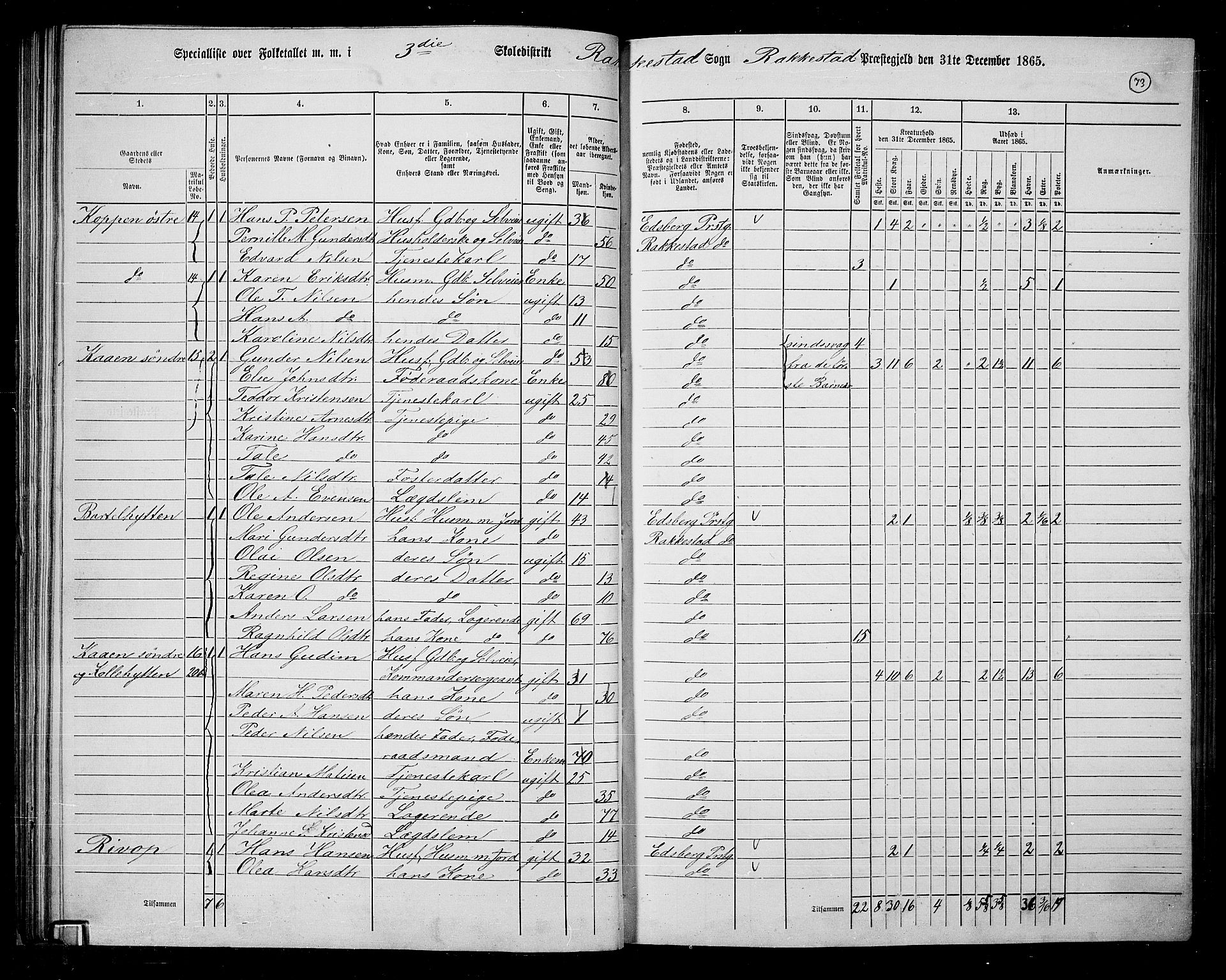 RA, Folketelling 1865 for 0128P Rakkestad prestegjeld, 1865, s. 72